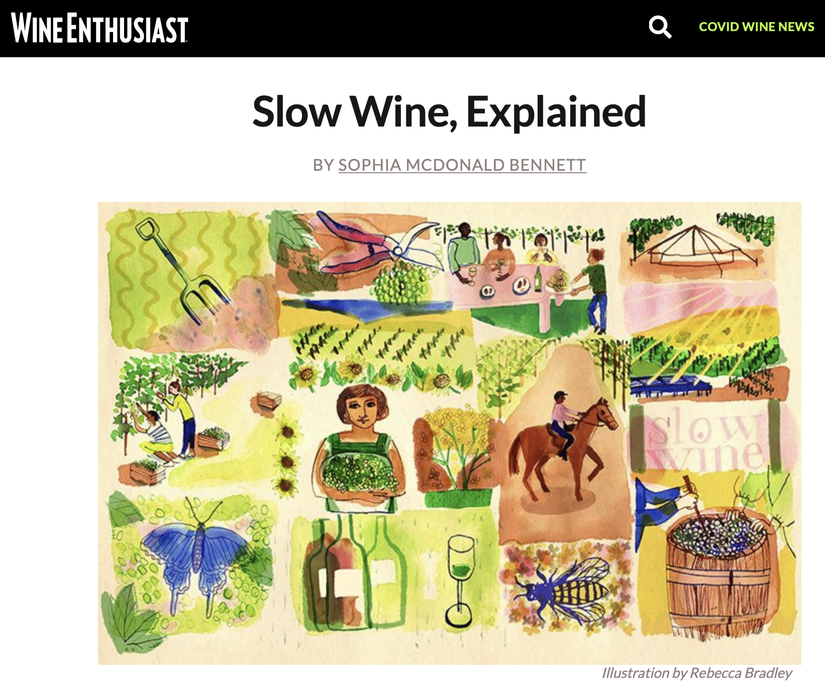 Slow Wine, Explained features Forge Cellars and Bethel Heights