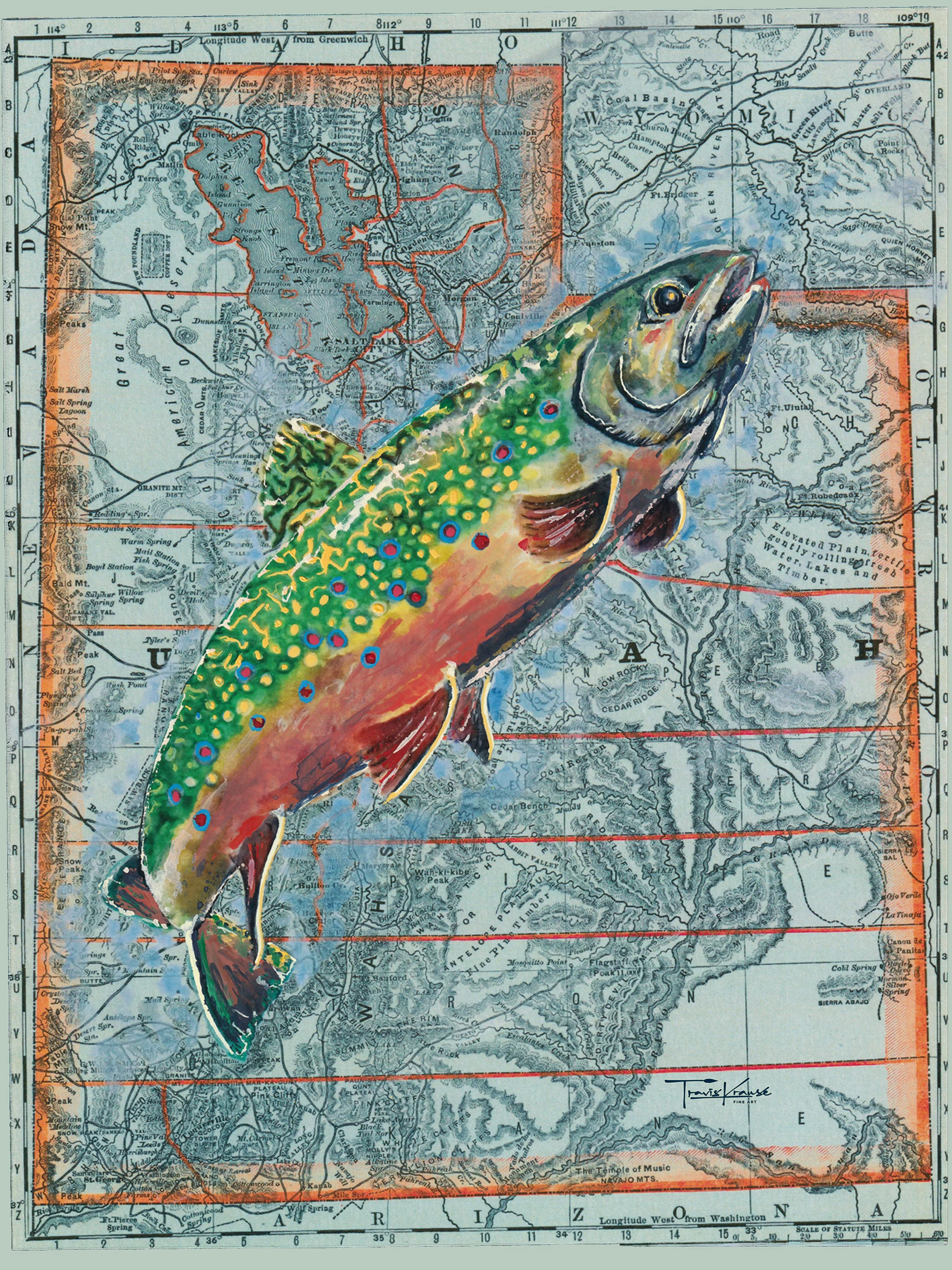 Utah Brookie