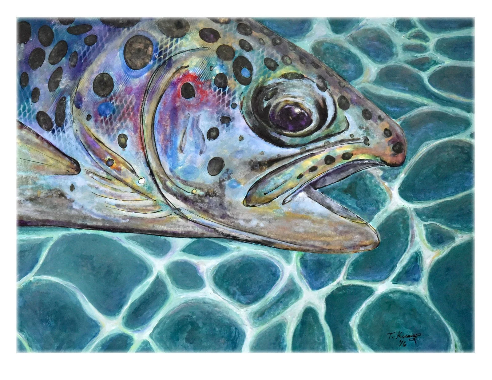 Big Little Fish