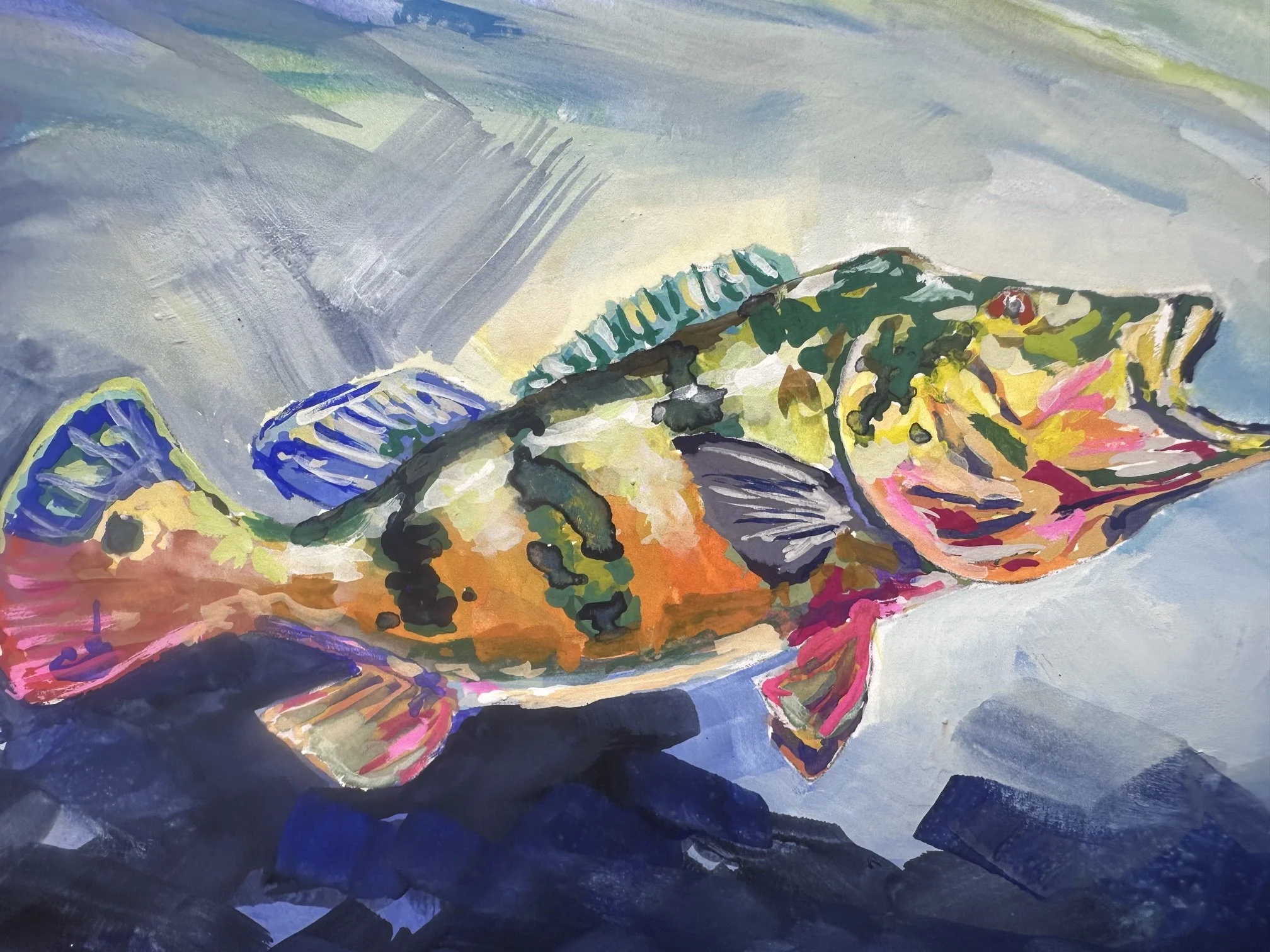 Peacock Bass Study