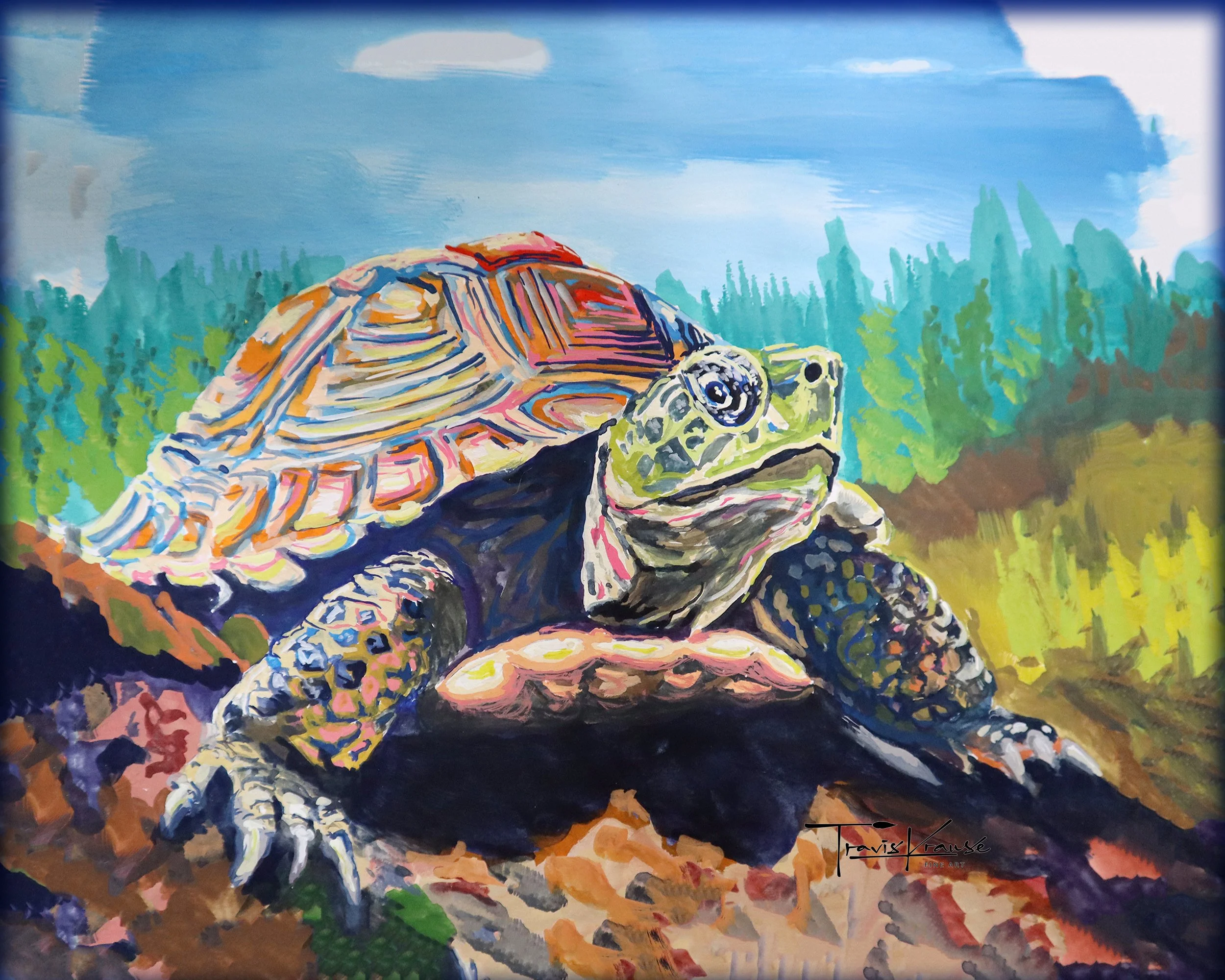 Turtle Color Study