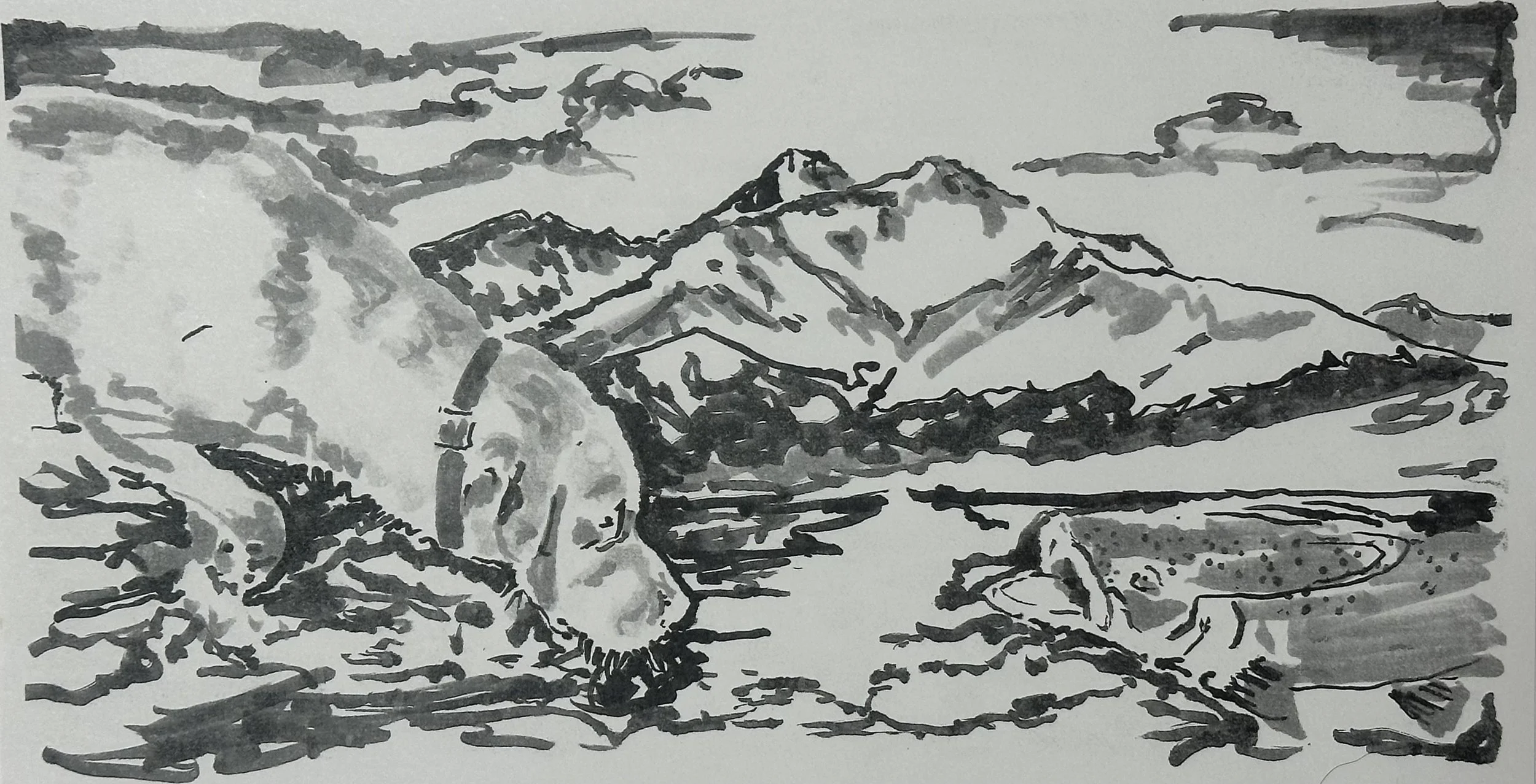 sadie fish bw .jpg