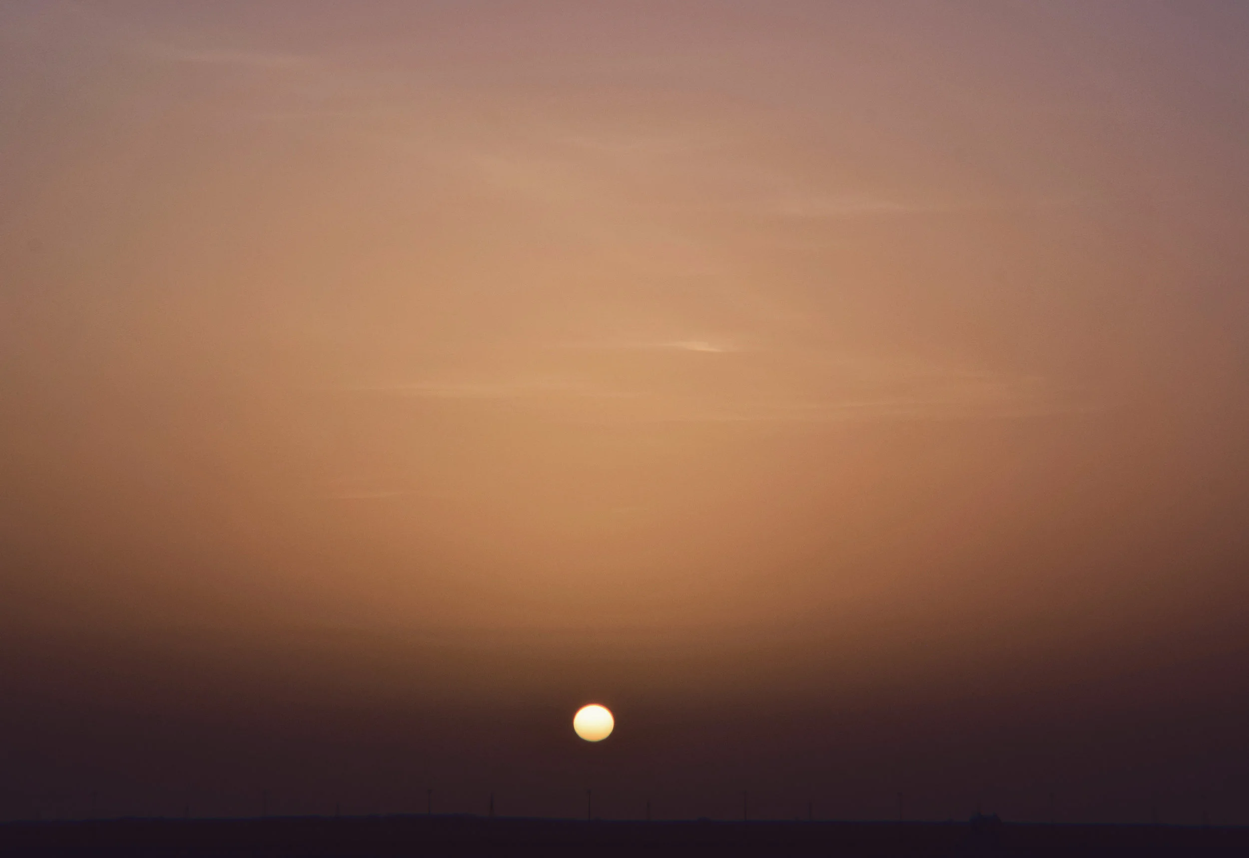 DSC_0071.jpg