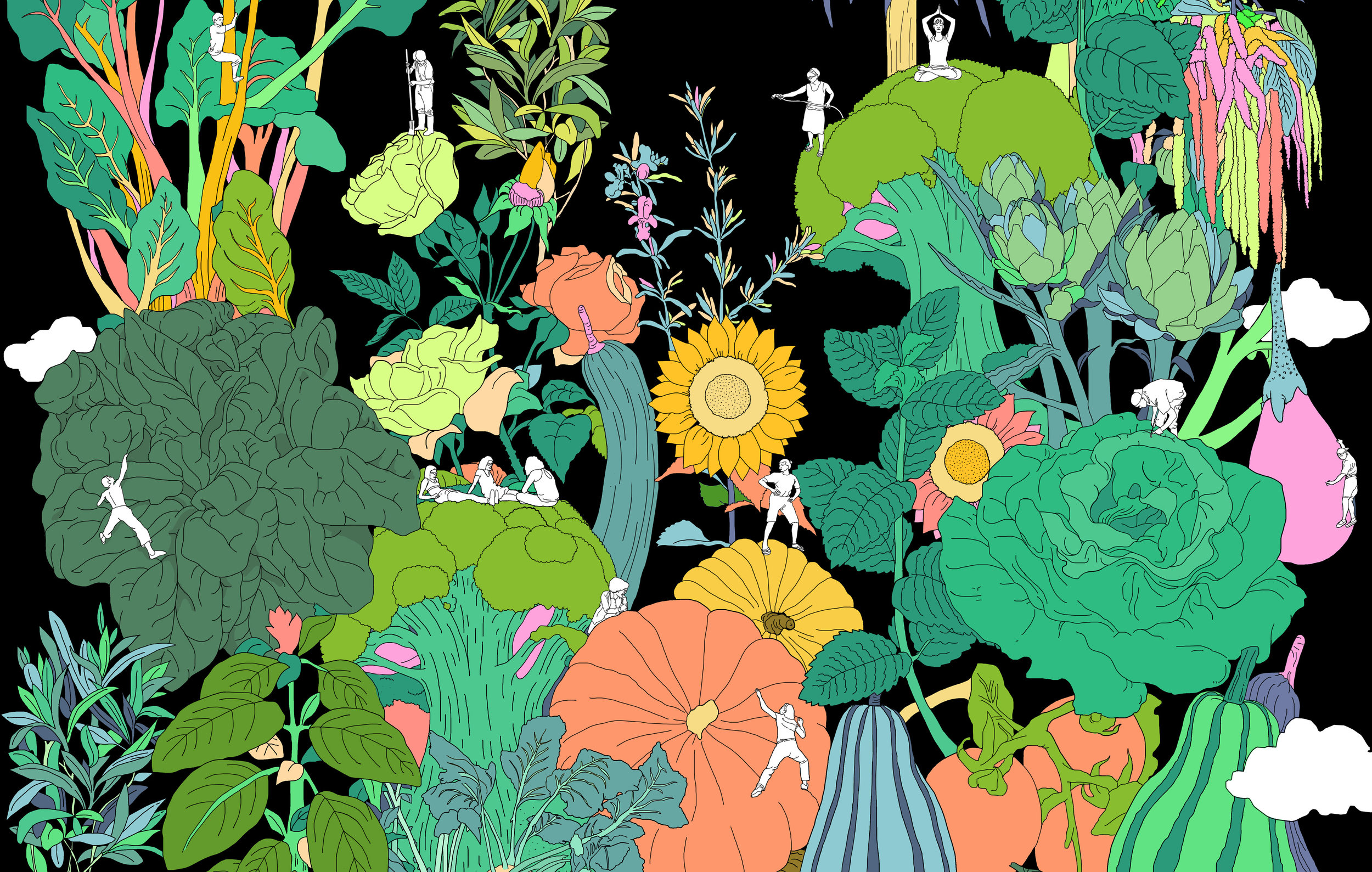 JARDIN_SUSPENDU_A_COUV_SITE.jpg