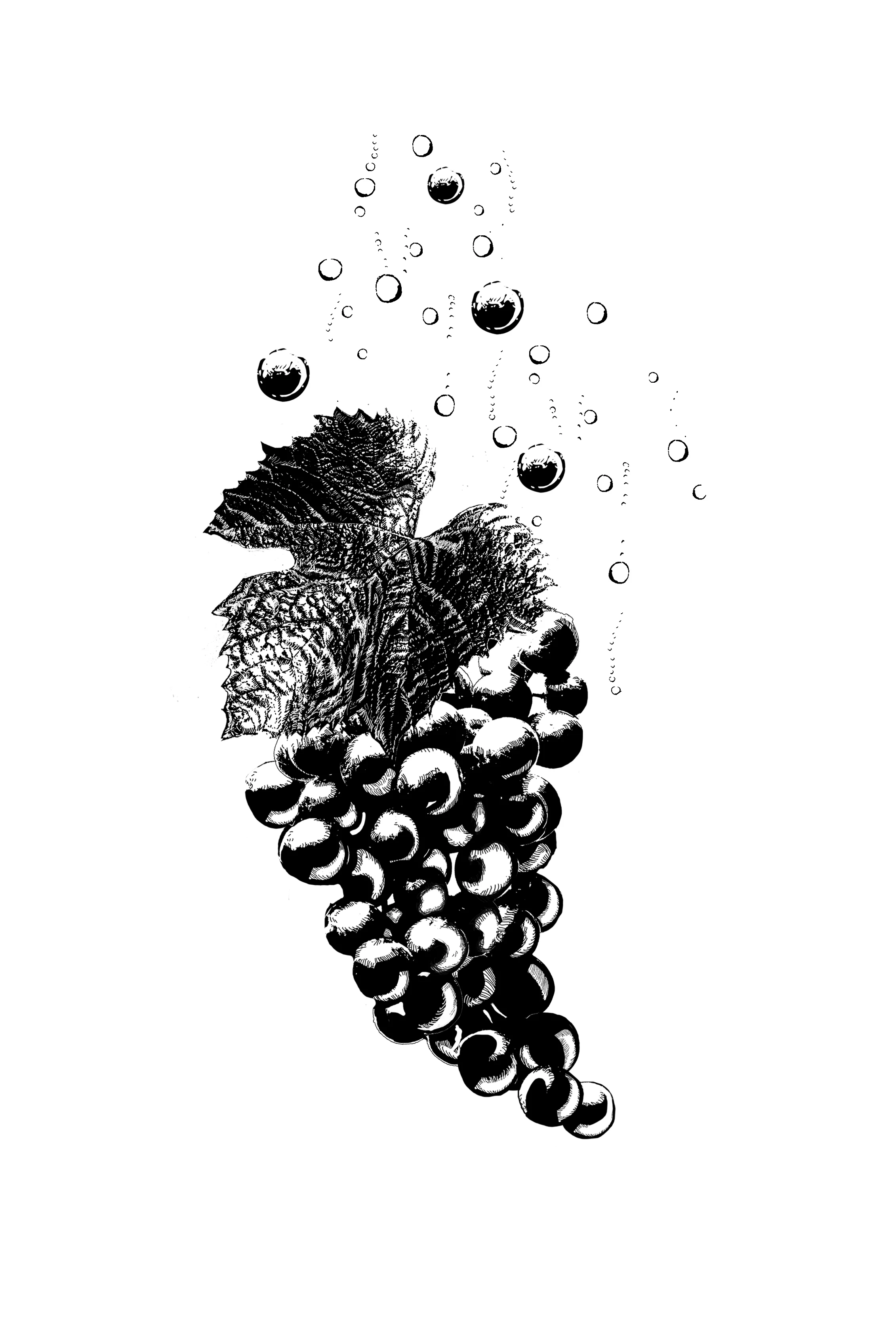 dessin_eco_friendly_VCP_HD.jpg