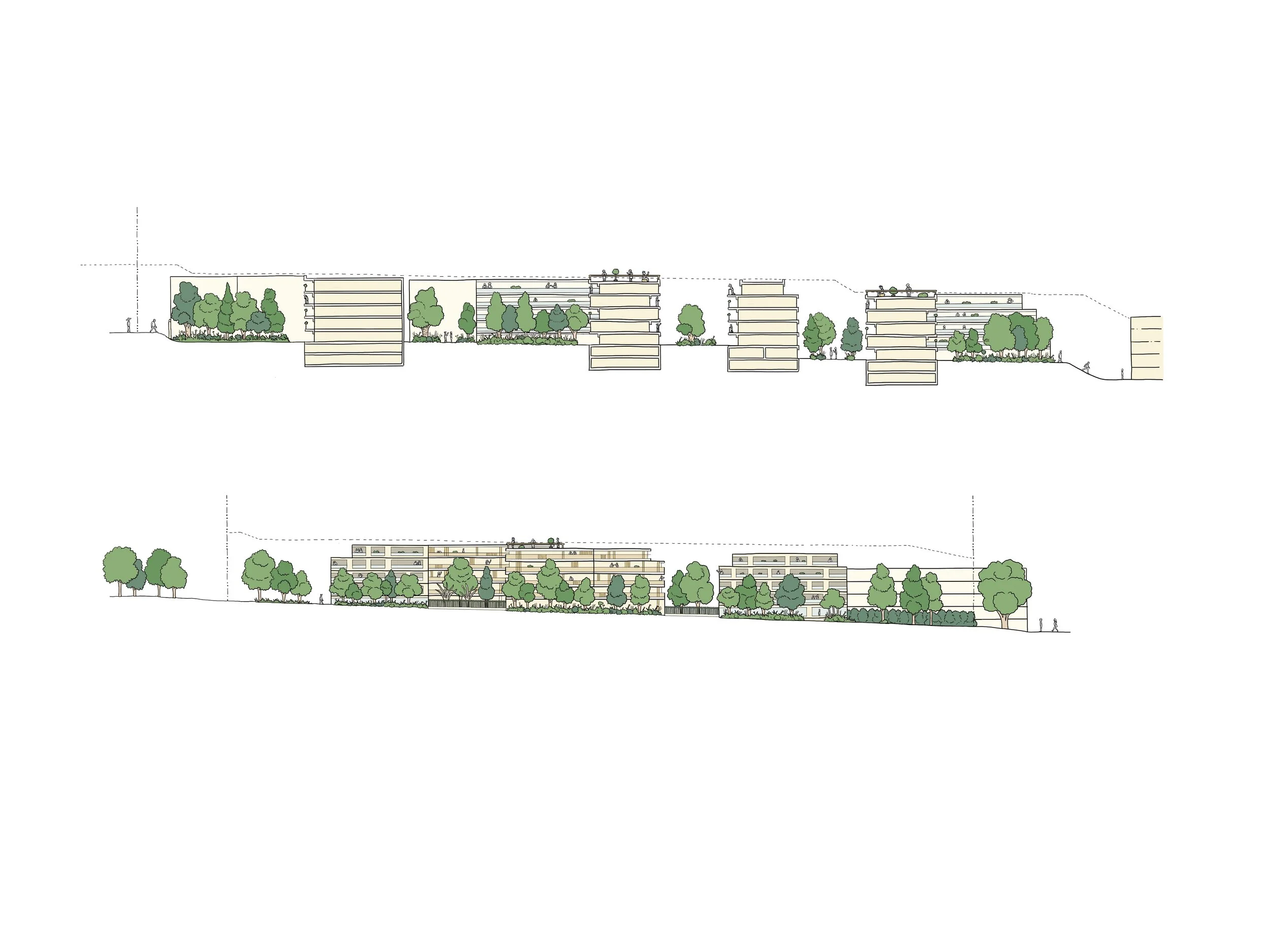 Elevations_V6.jpg