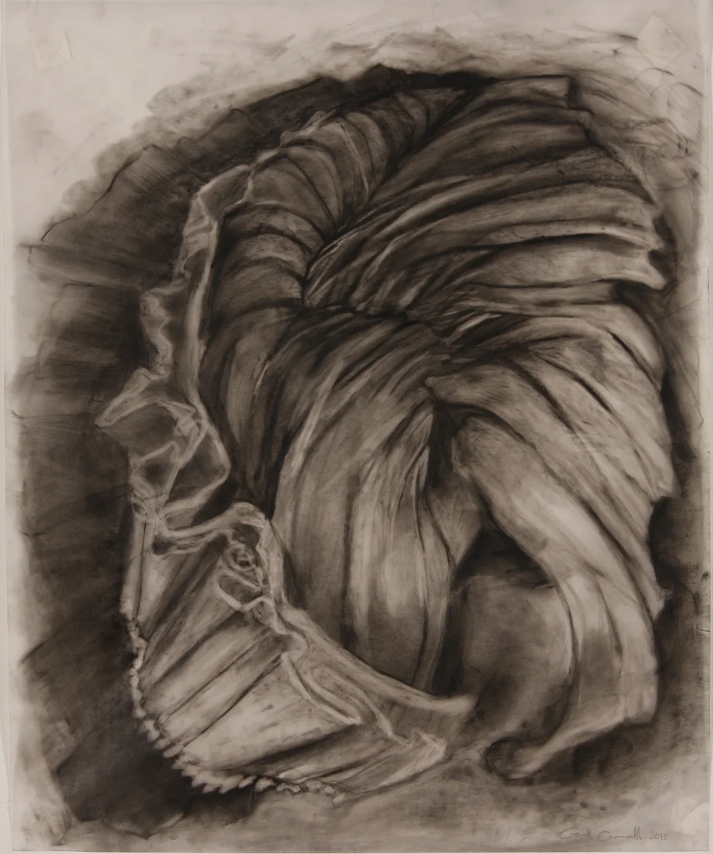 Enfold 17”x 14” charcoal on vellum