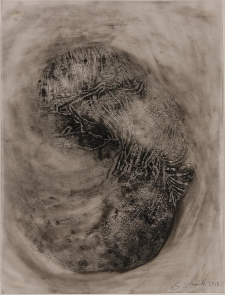 From the Sea 9” x 12” charcoal on vellum
