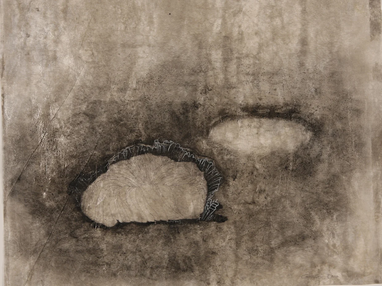 Seep 21” x 28” acrylic, ink charcoal, polyester