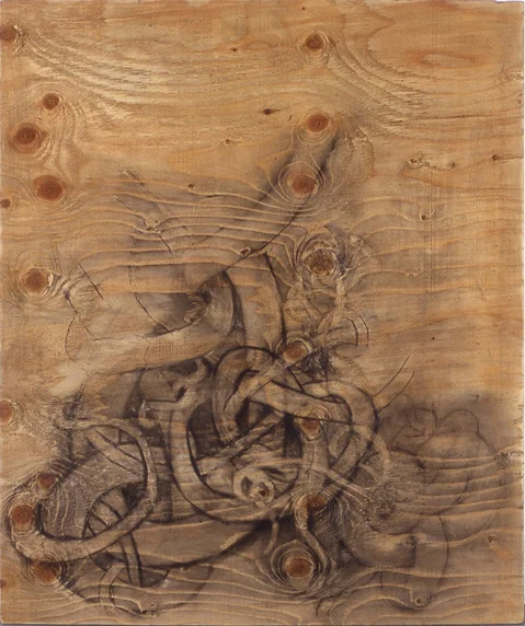 Roots 48” x 30” charcoal, plywood, shellac