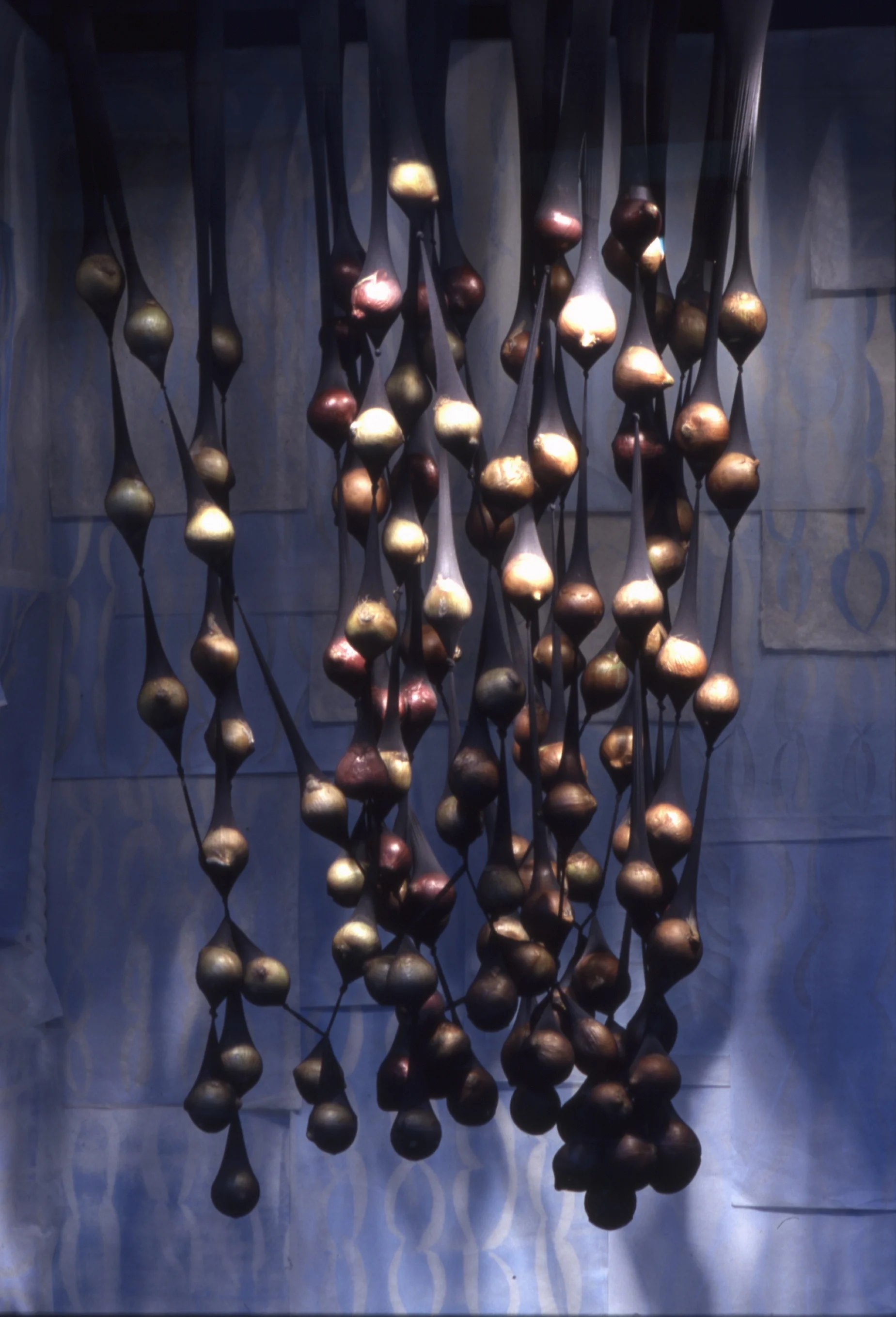 onions | 2000