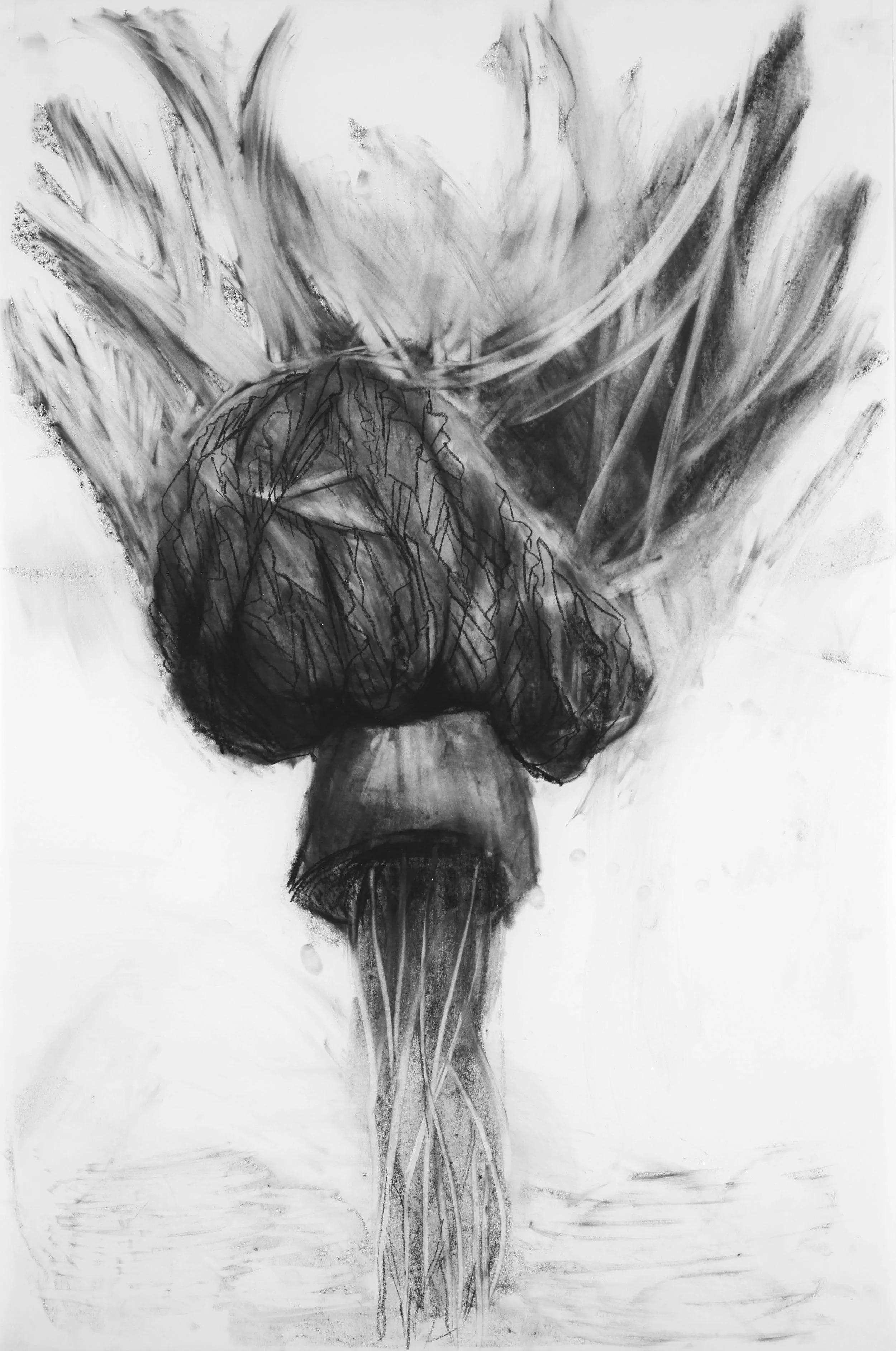 Charcoal Studies | 2014