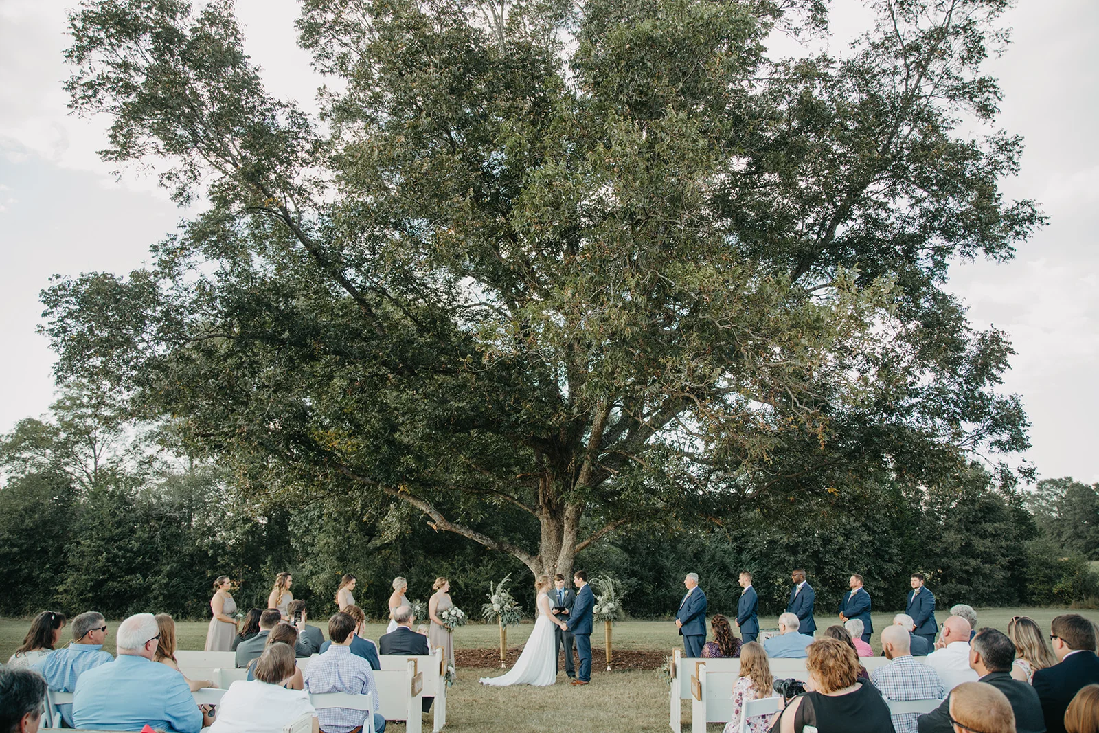 pc Taylor Ann Photography