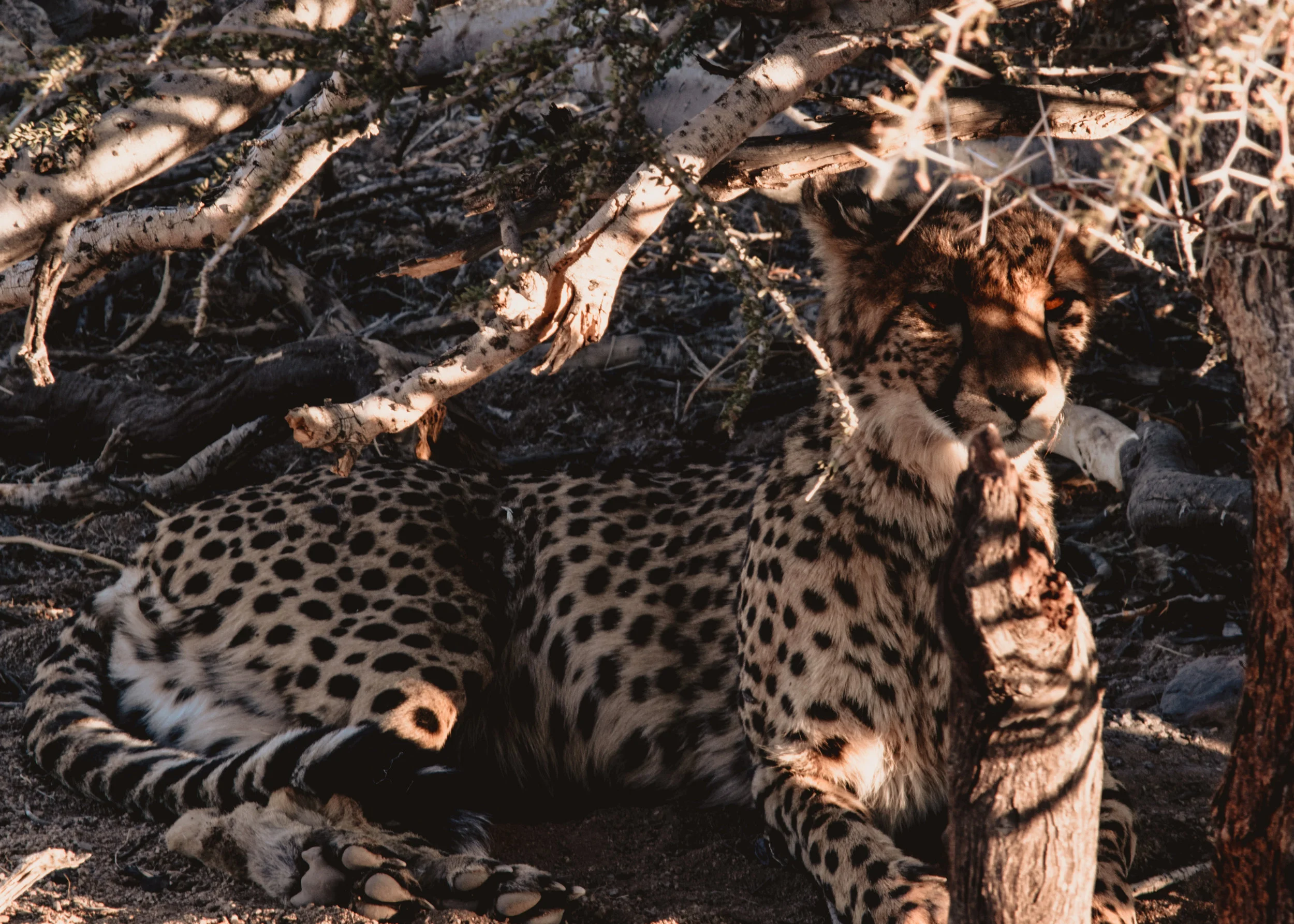 Namibia-44.jpg