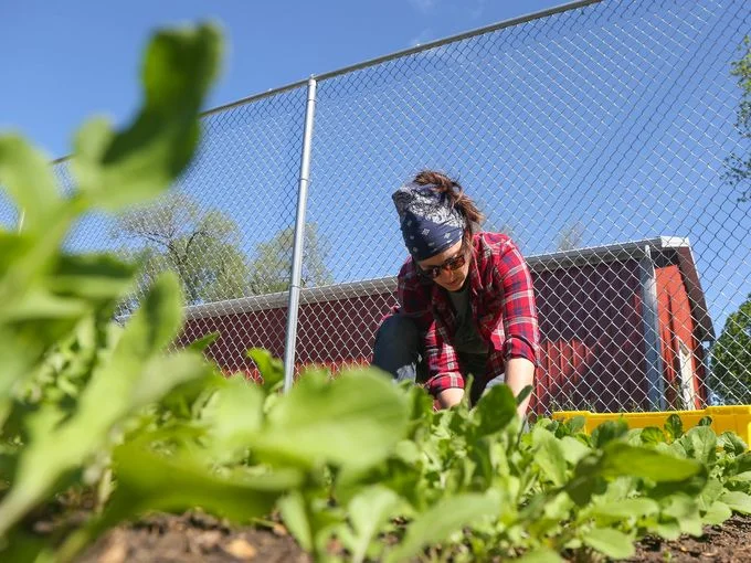 Jenny Quiner of Dogpatch Urban Gardens, Photo Credit Des Moines Register