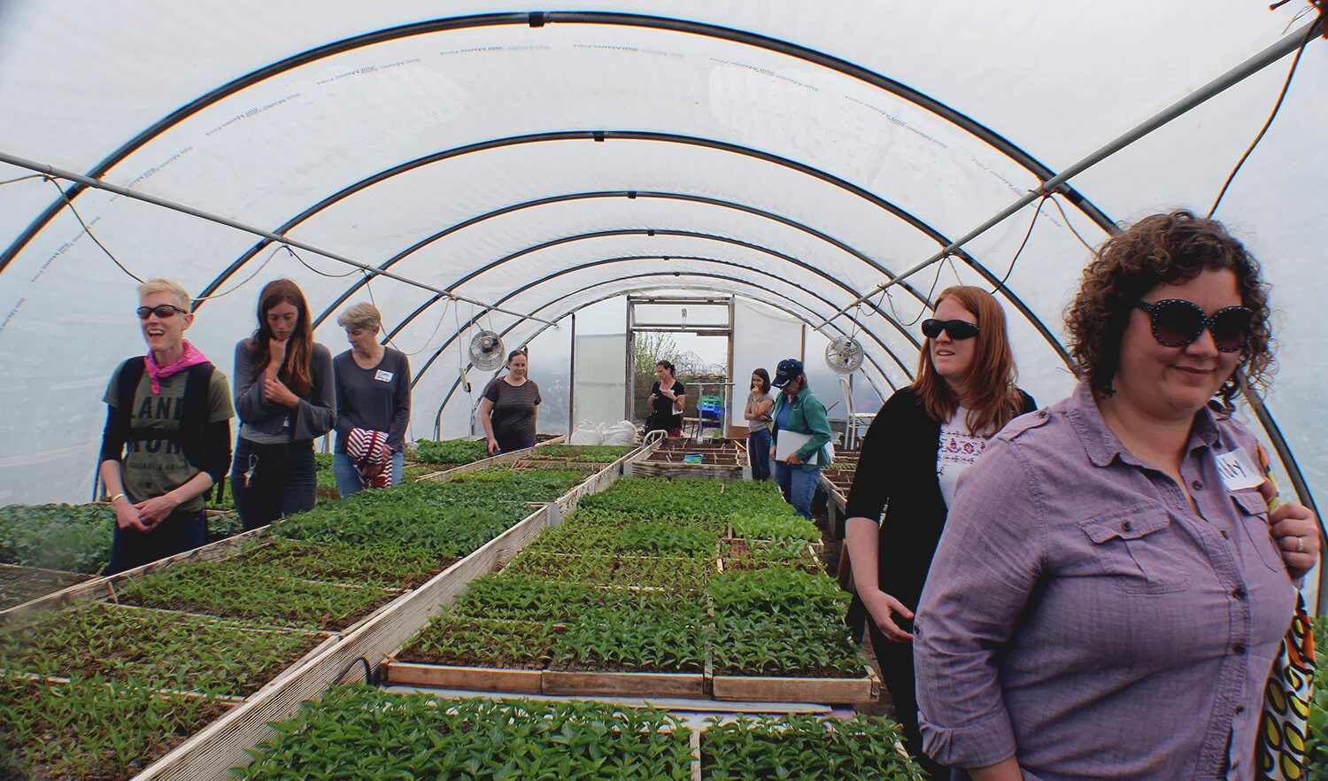 green house band photo.jpg