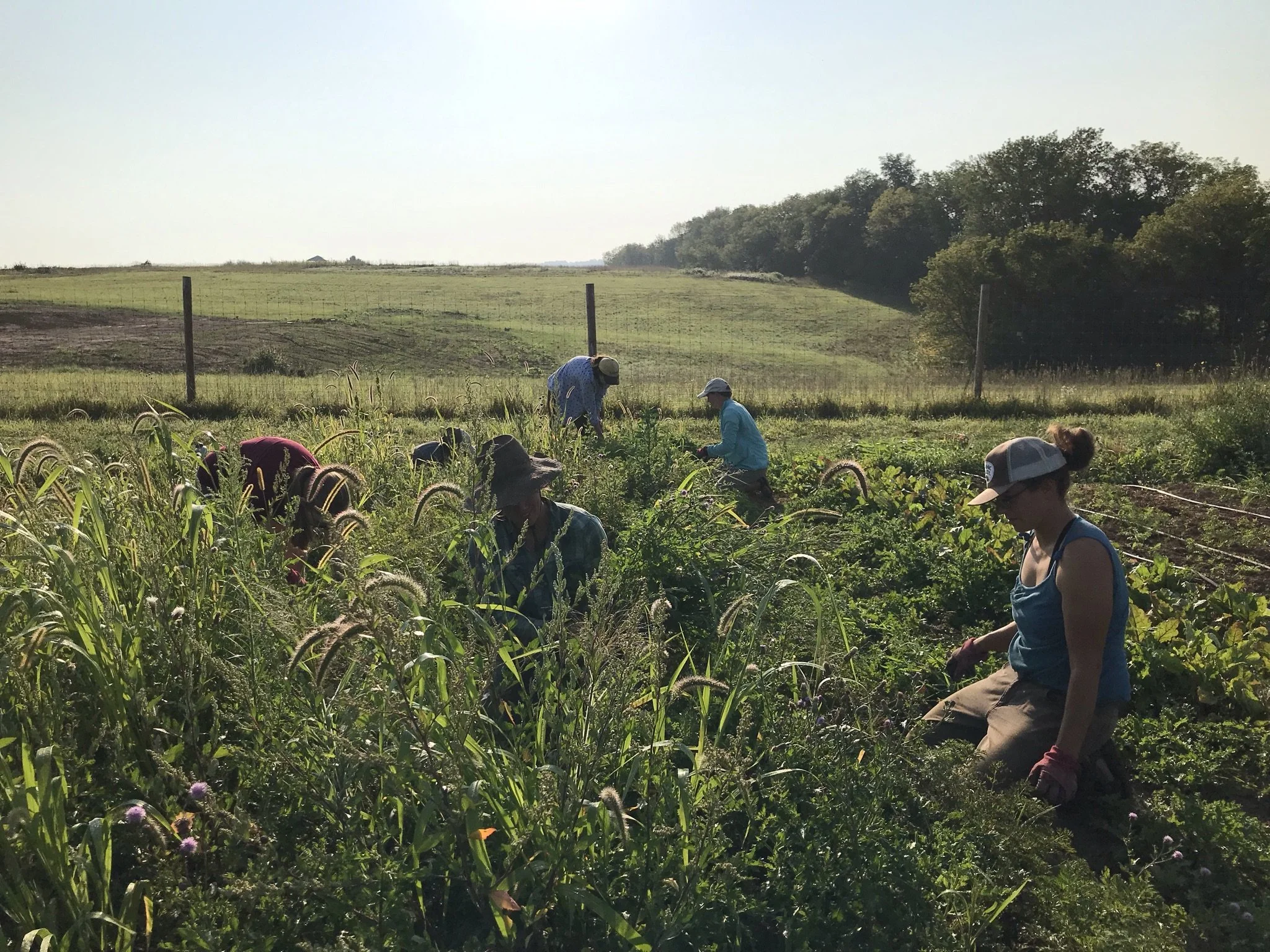 About — Women, Food and Agriculture Network
