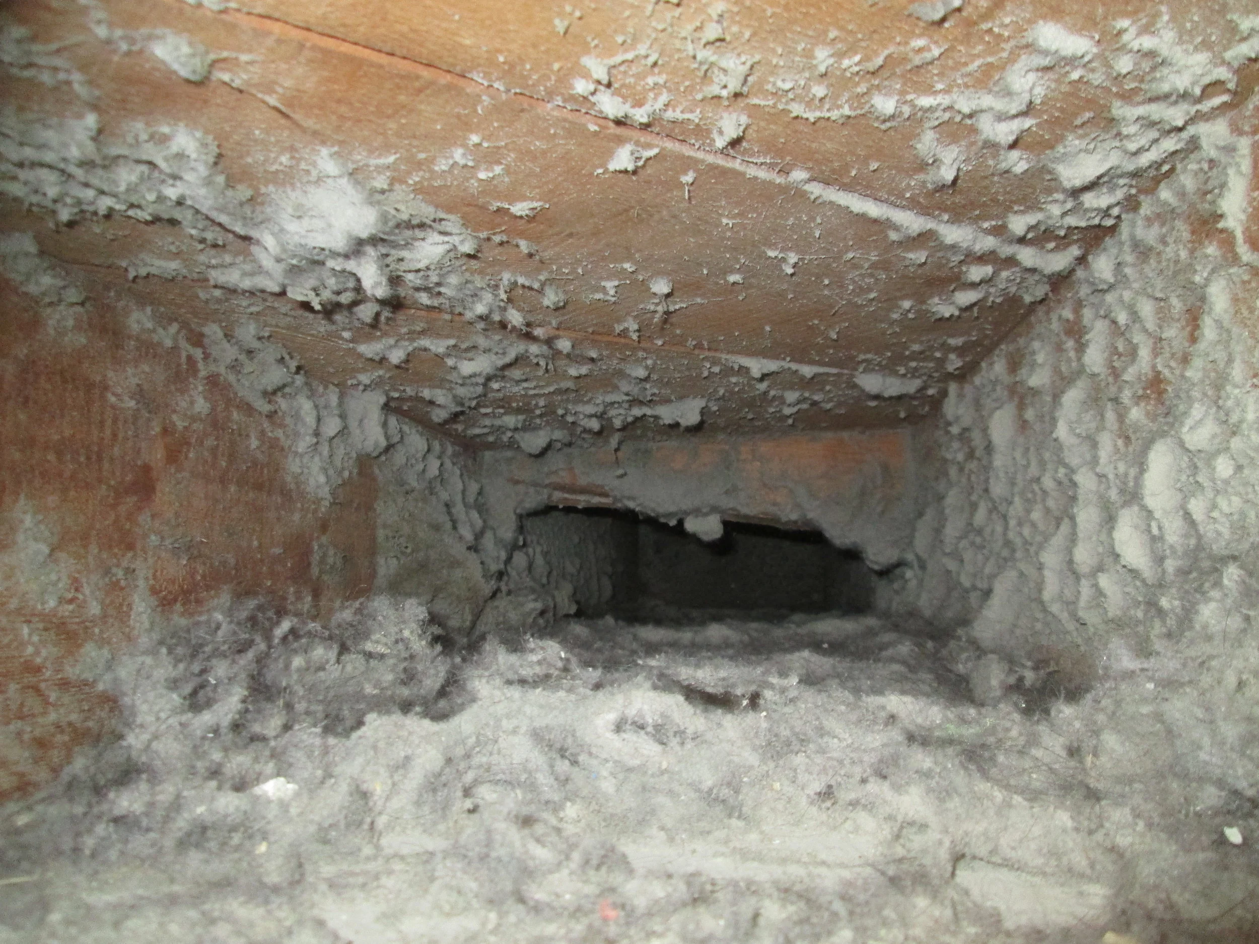 p 22 before.JPG