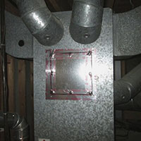 pp-11.jpg