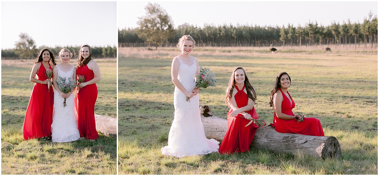 welverdiend_botha_wedding_0059.jpg