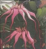 March Fiber Guild Meeting