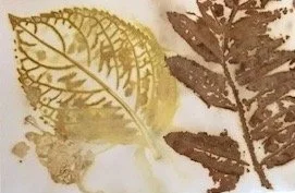 Taste of Eco-Printing on Paper