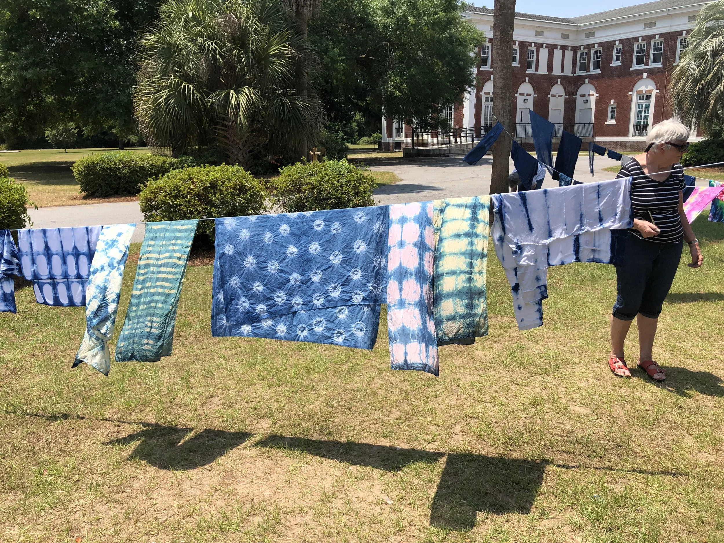 June meeting---Dye Day!