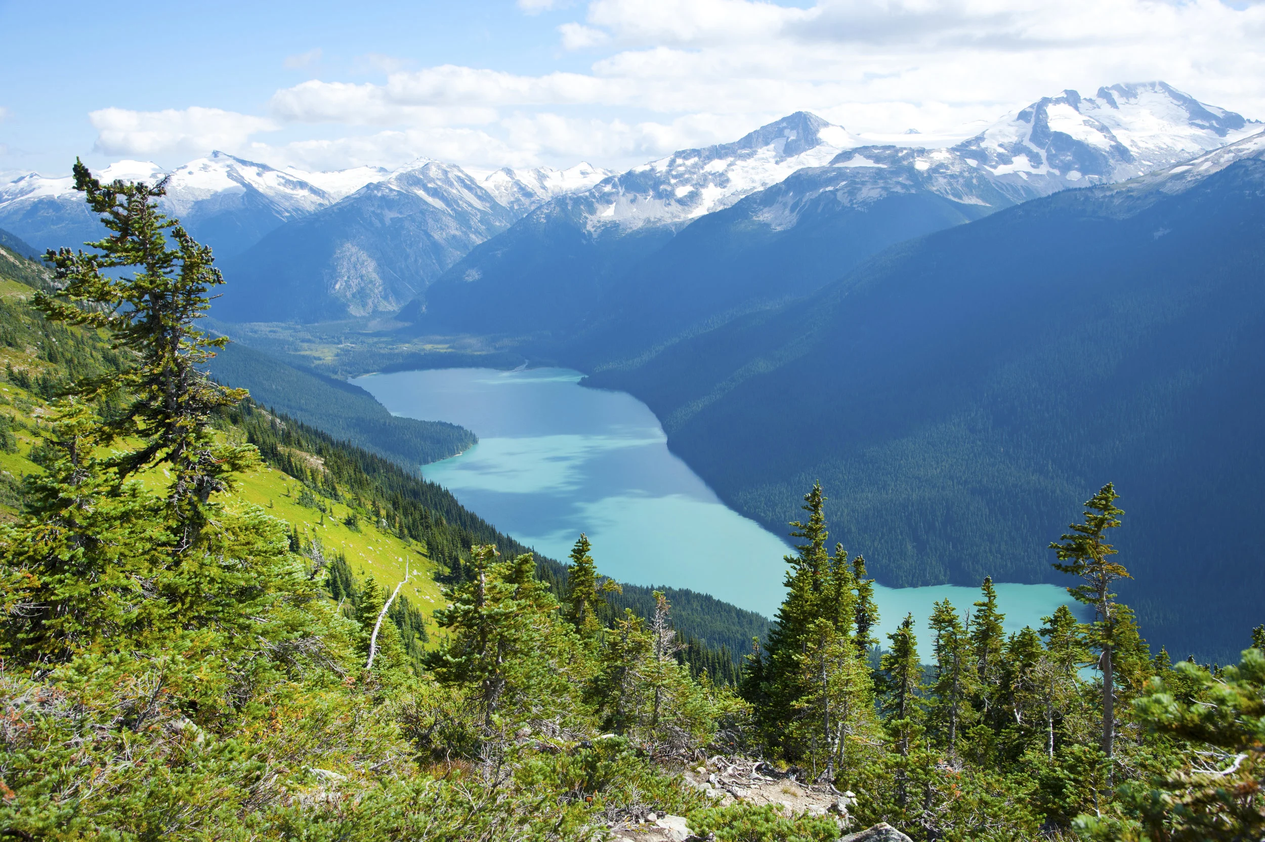shutterstock_170803391.jpg