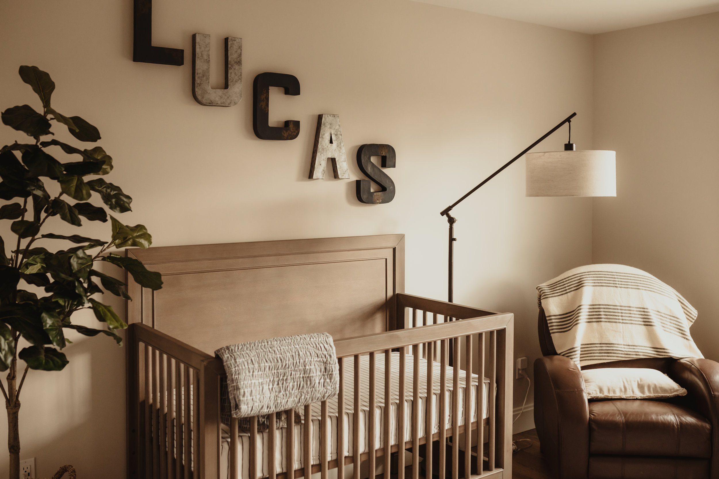 Lucas-1.jpg
