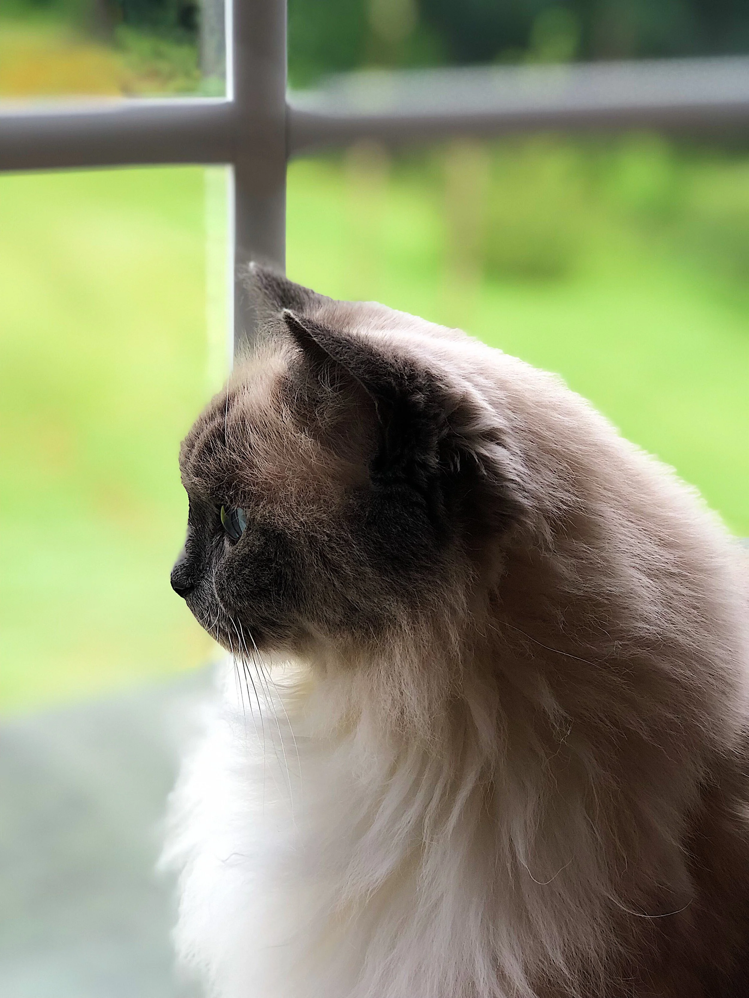 Appreciating All Seasons