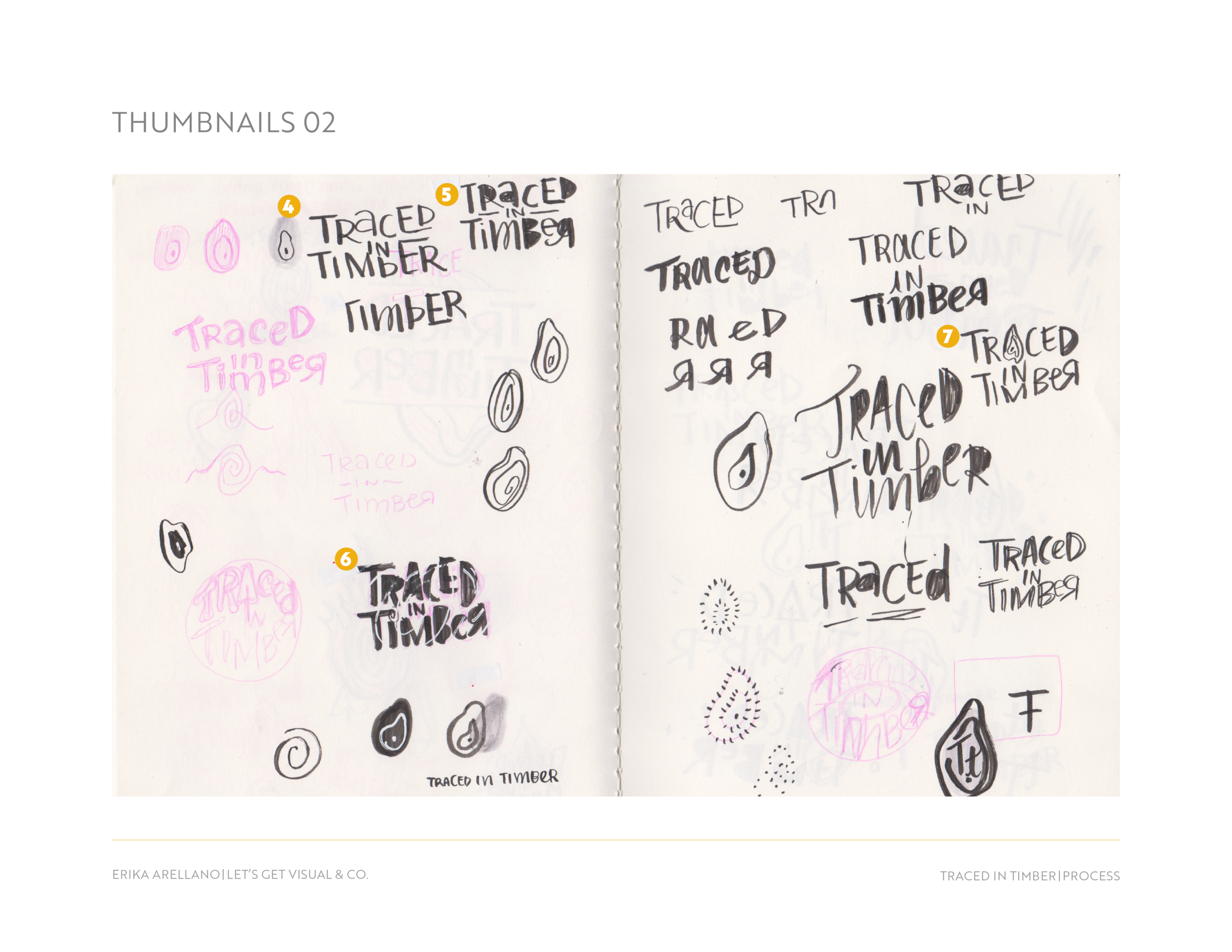 19.08_Traced in Timber Logo_HandDrawn Roughs2.png