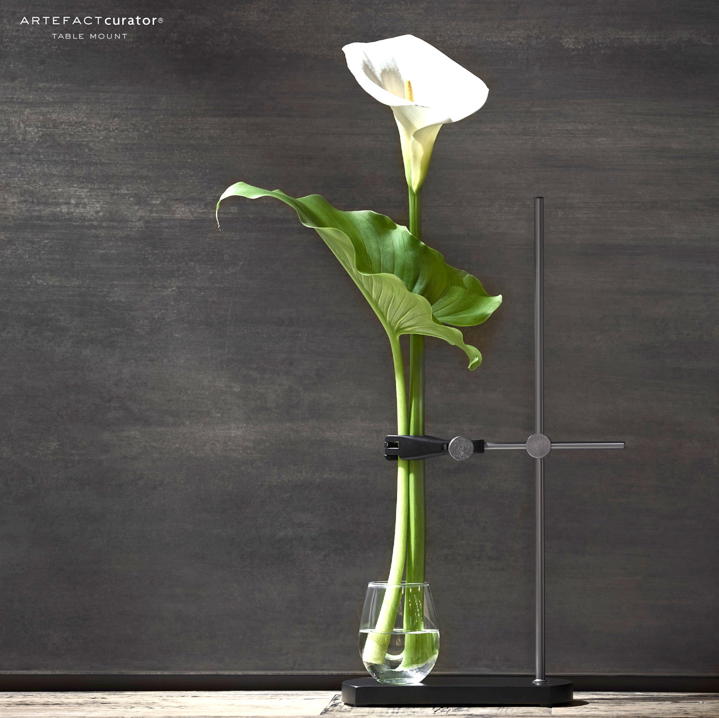 ArtefactCurator Table Mount