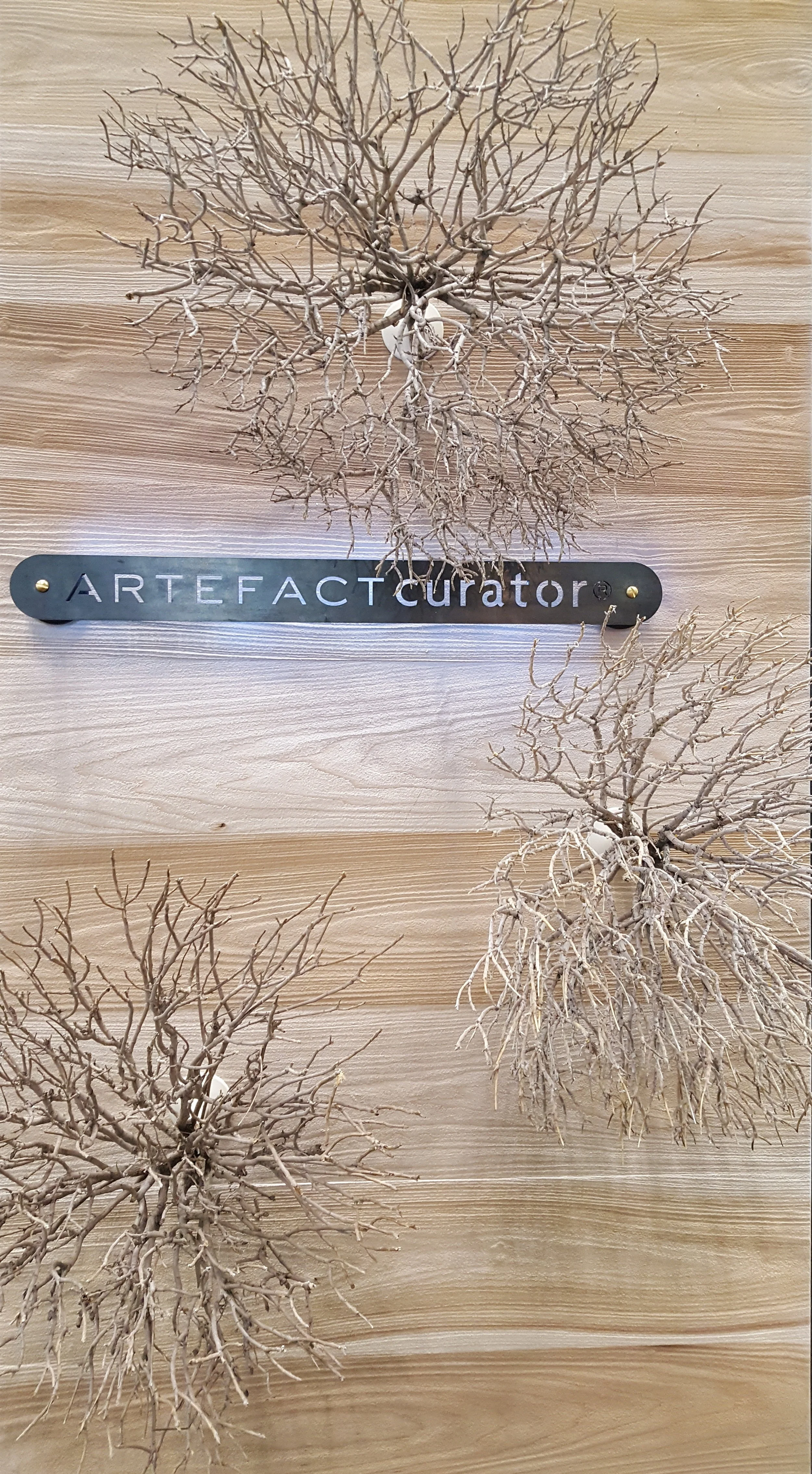 Wall mounted Coral Bushes