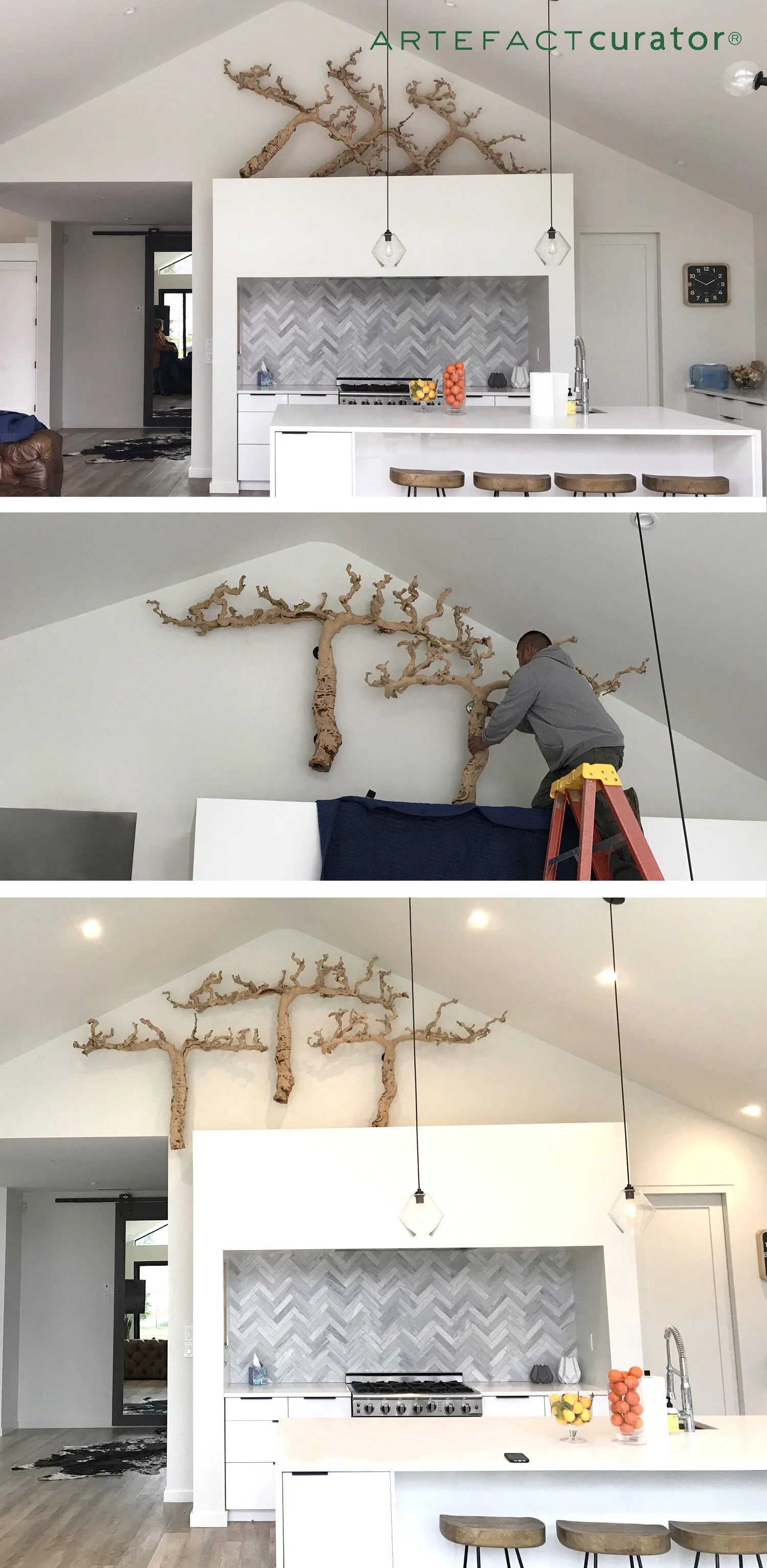 Curator Wall Mount Stages.jpg