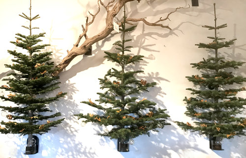 Three Tips For Choosing Cut Tree Branches for Decor — ARTEFACTcurator