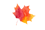 leaf_favicon_HHsugarbush.png