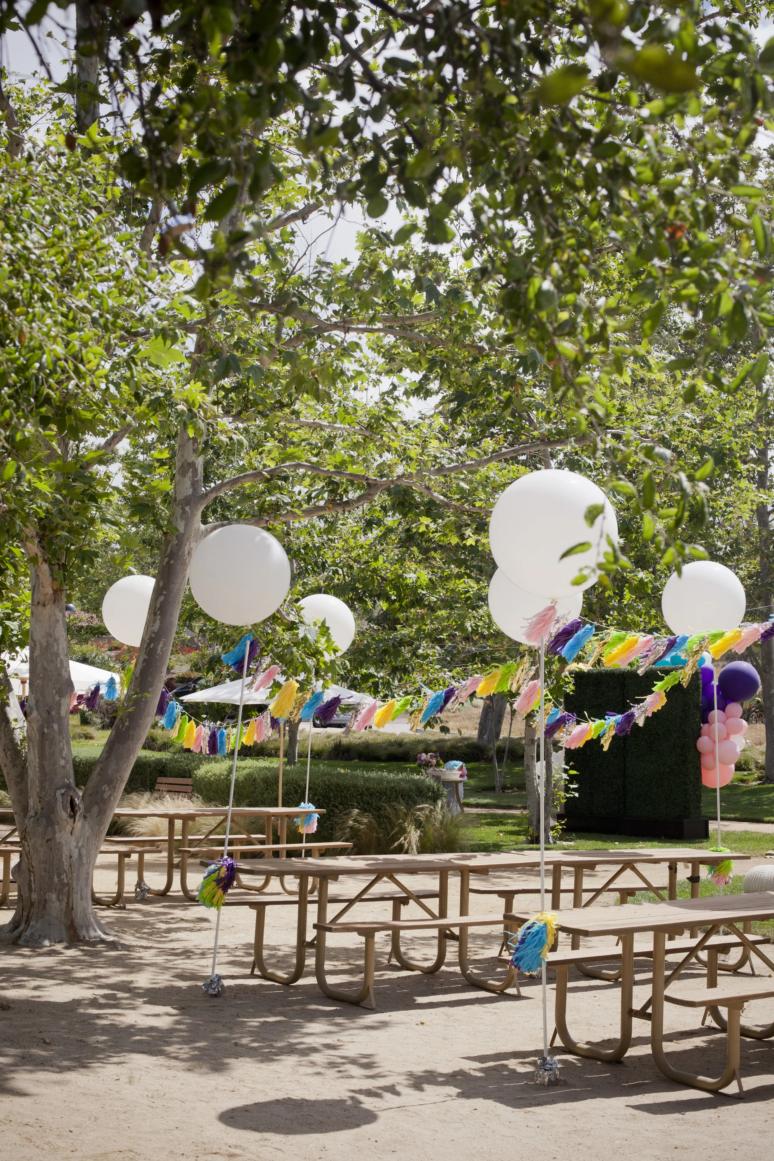 may2618-029.jpg