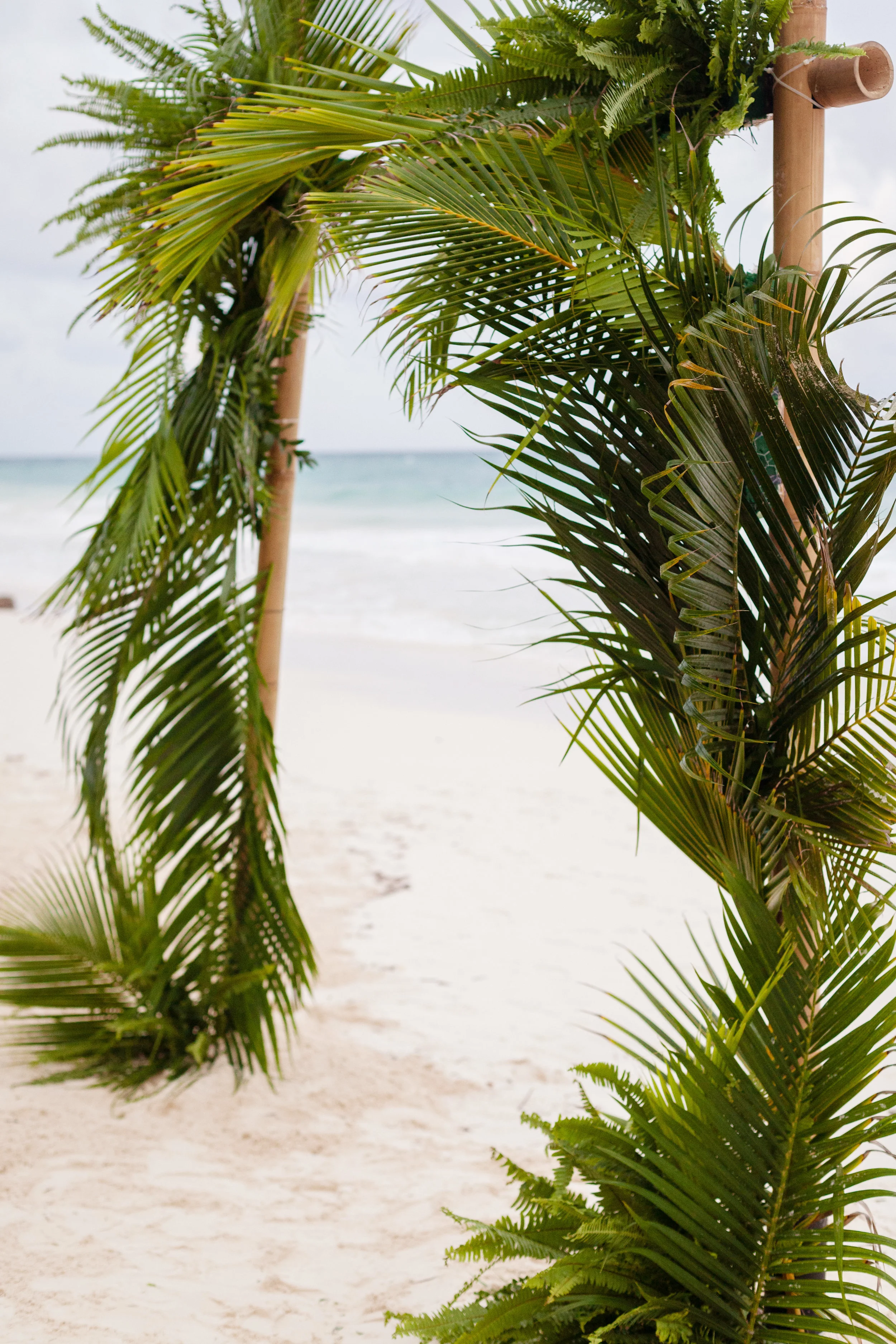 melanytulum-031.jpg