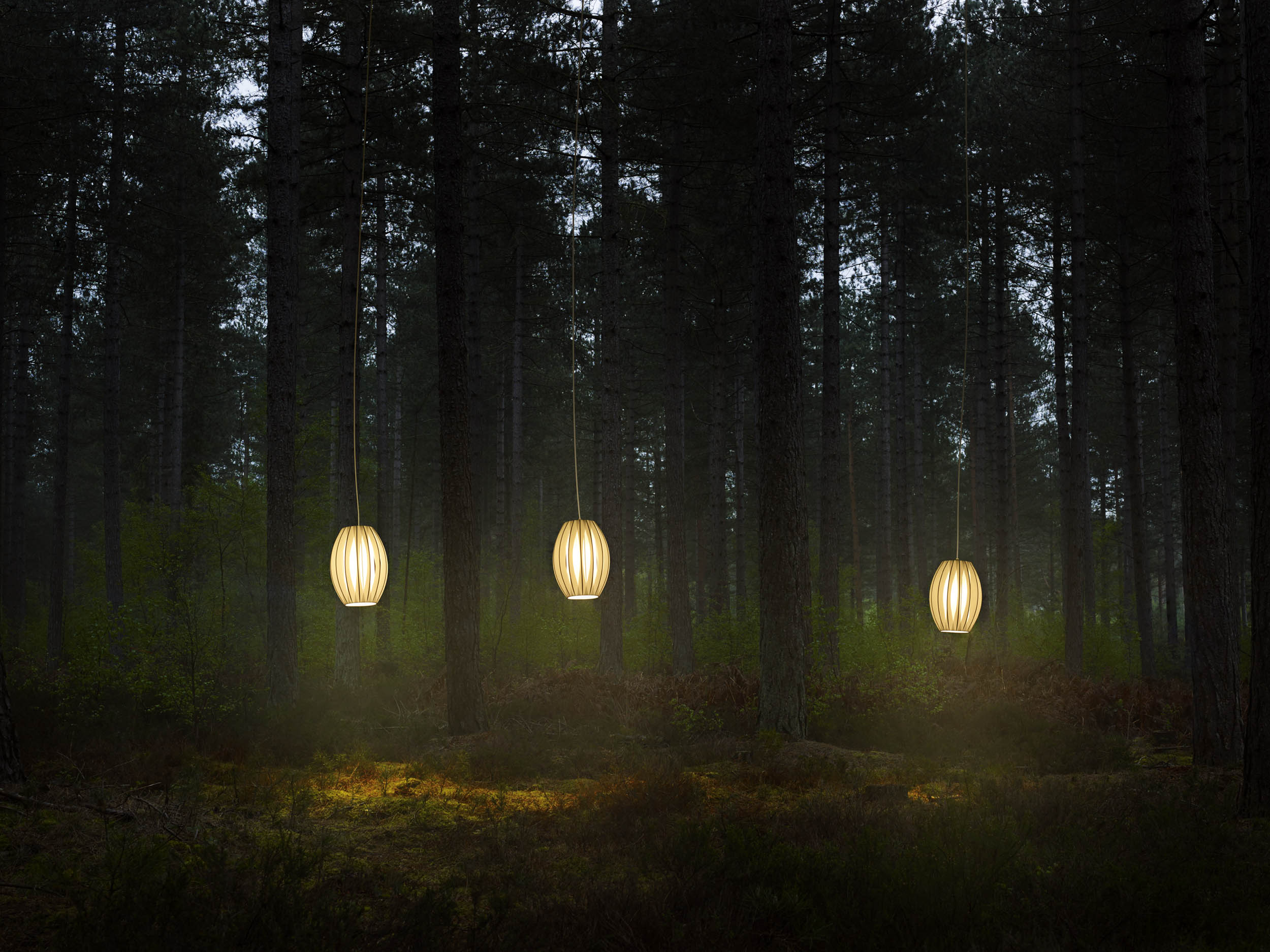 Lamps_Hurn Forest_098.jpg