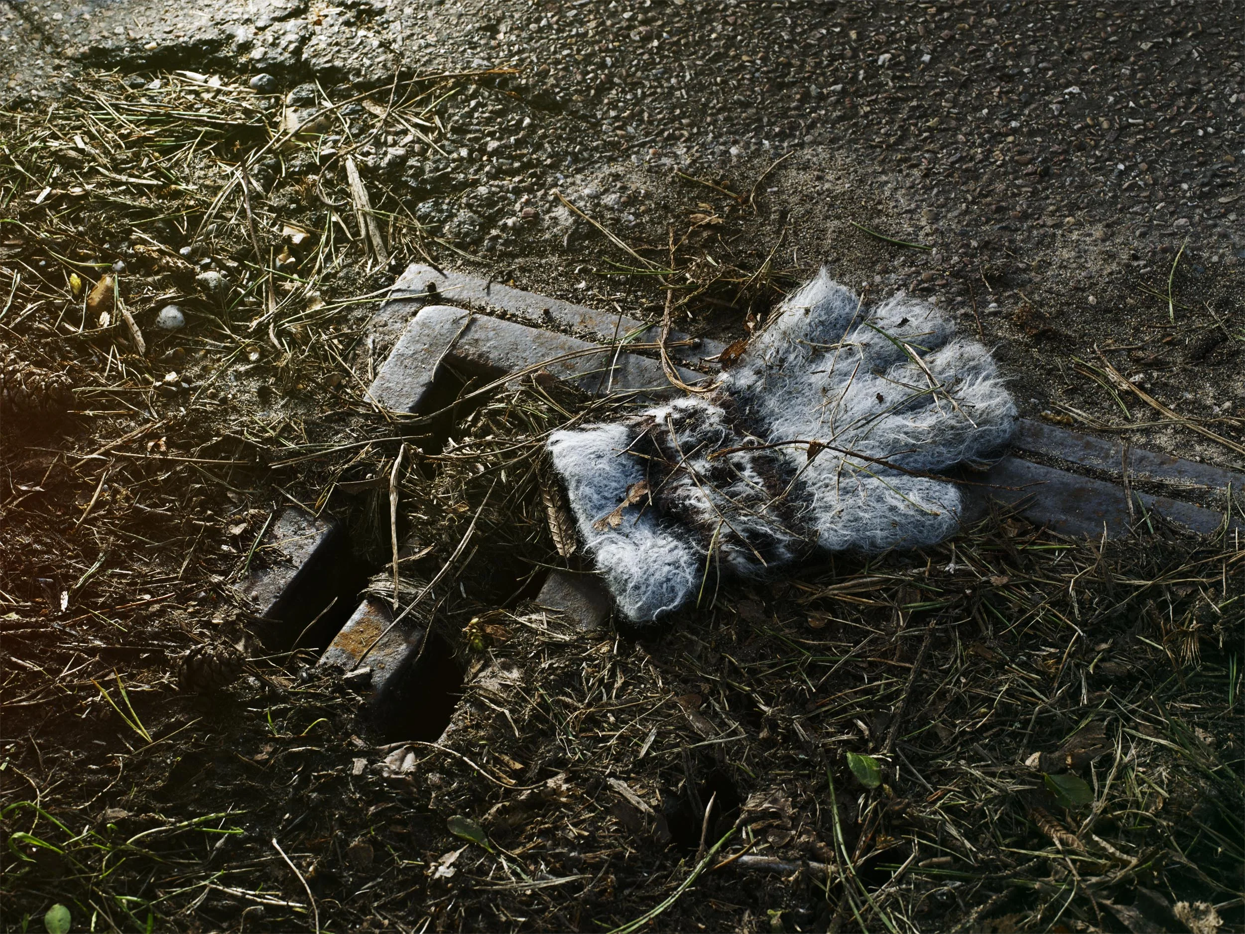 Fluffy Glove_079.jpg