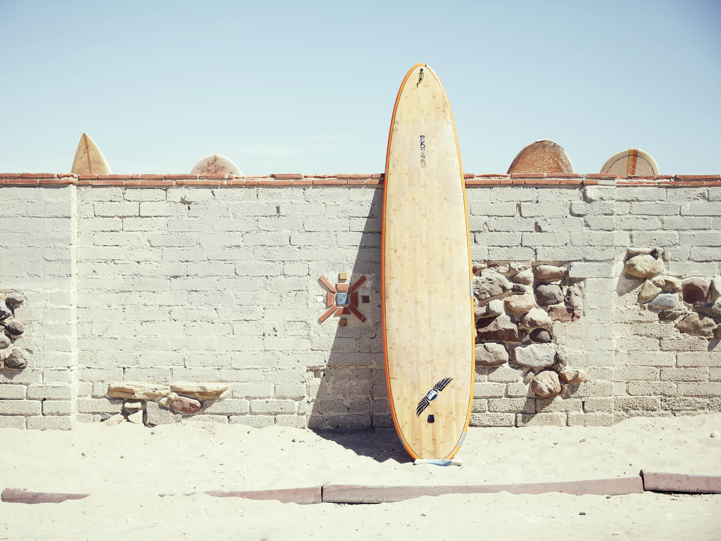 Surfer Longboard Wall_X3.jpg