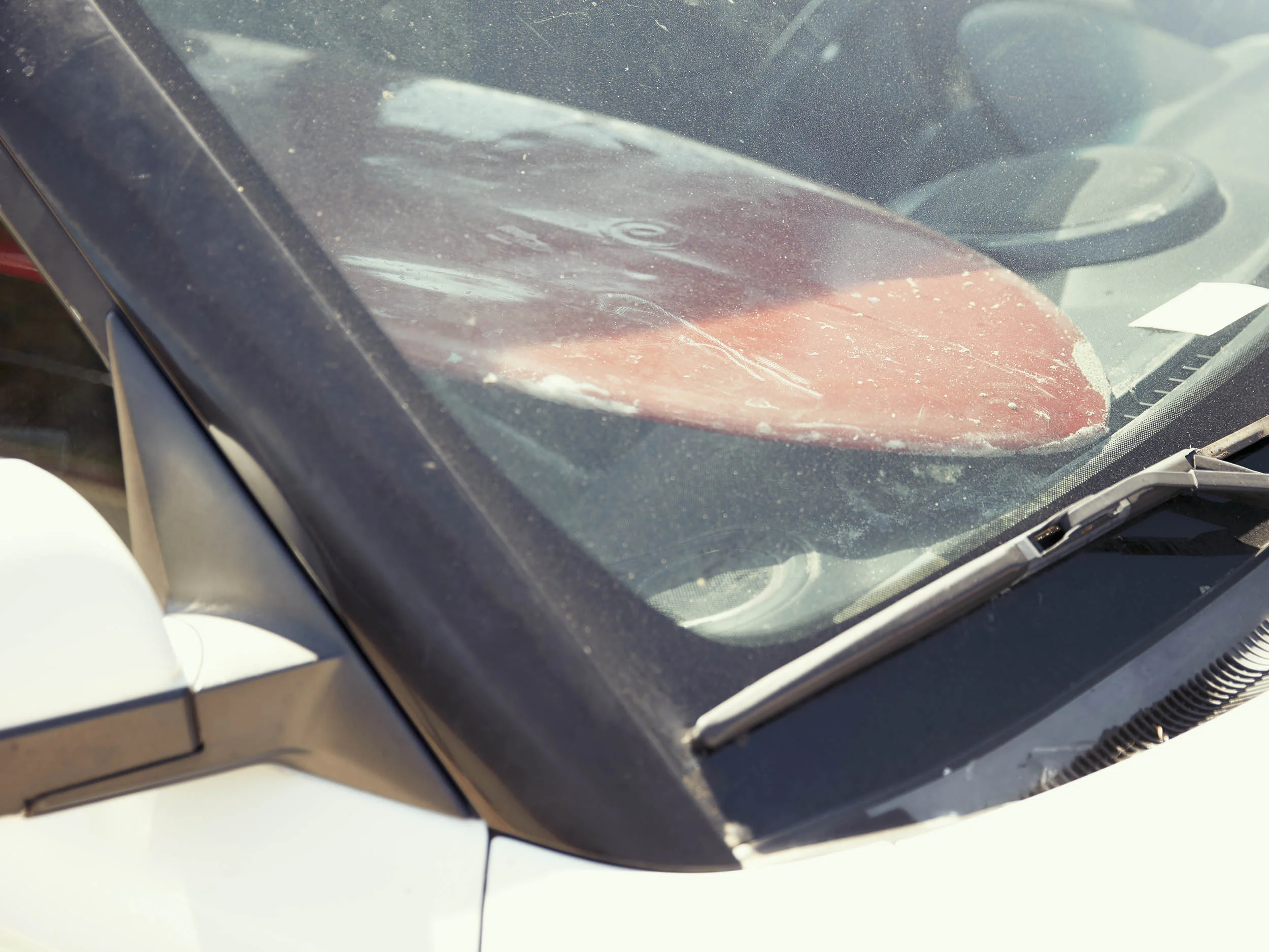Surfer Dirty Windscreen_SX3.jpg