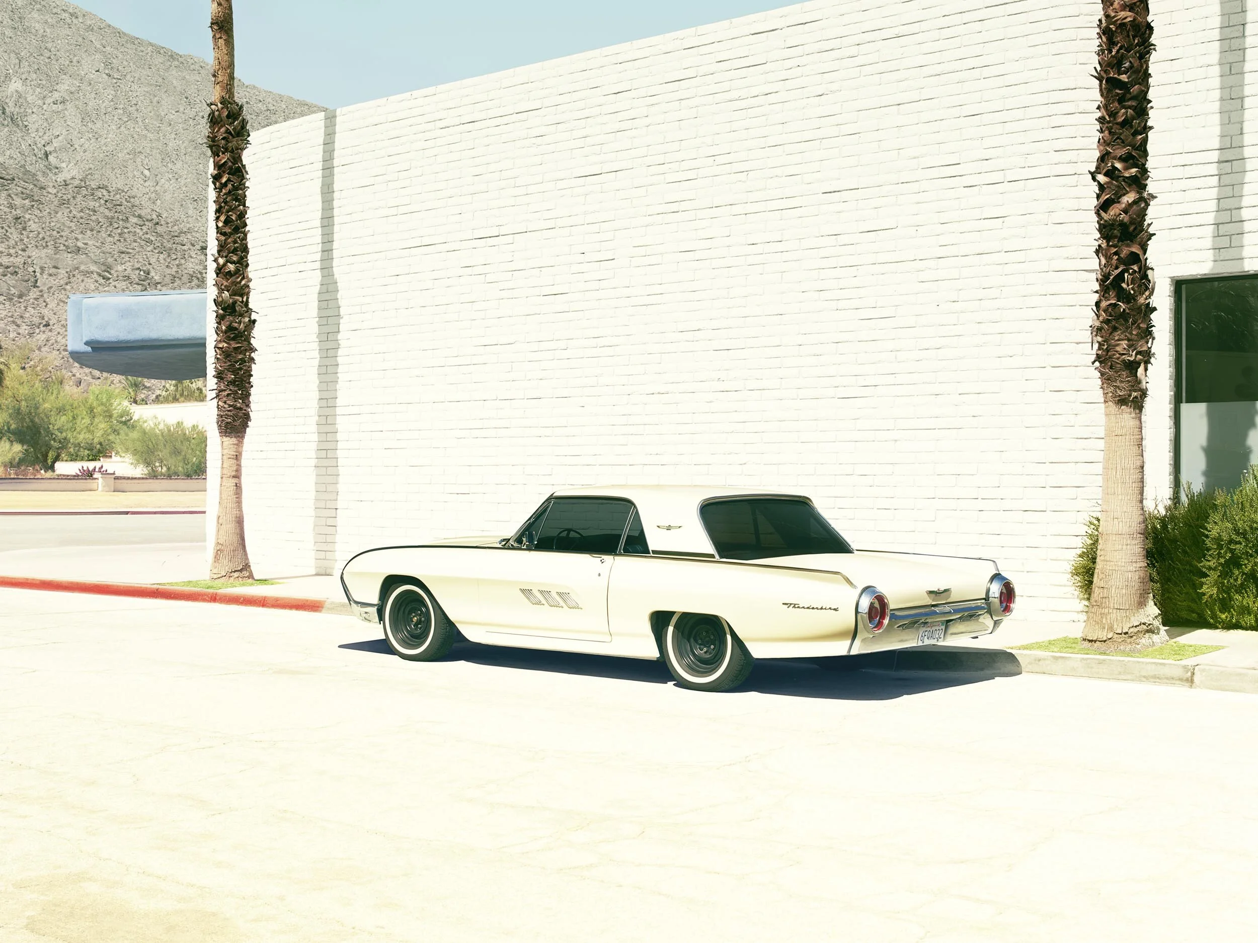 Thuderbird Rear_HP.jpg