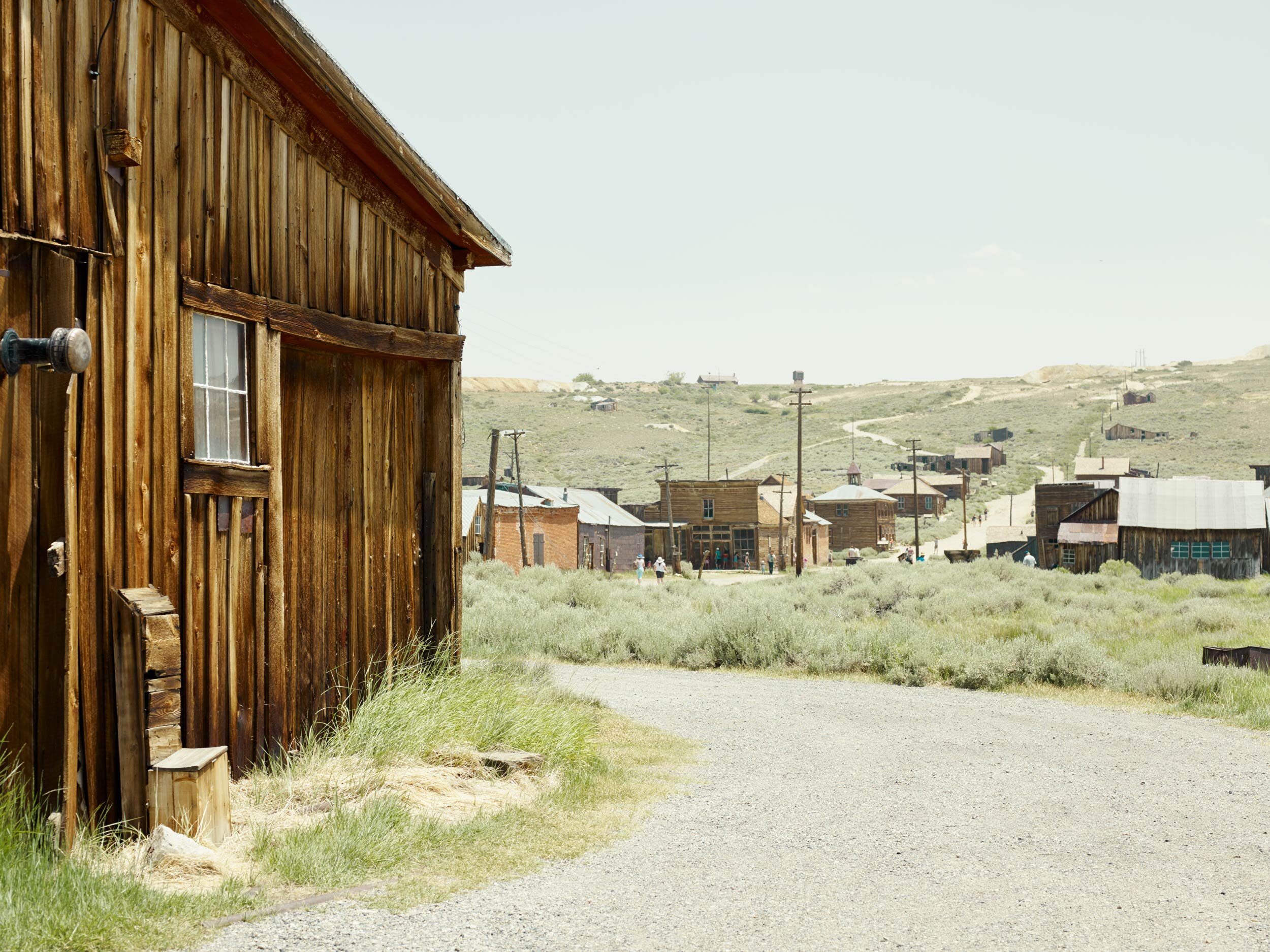 Bodie_325_X3.jpg