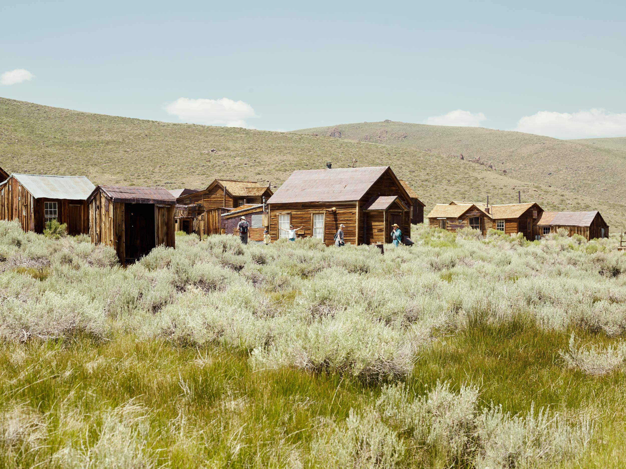 Bodie_454_X3.jpg