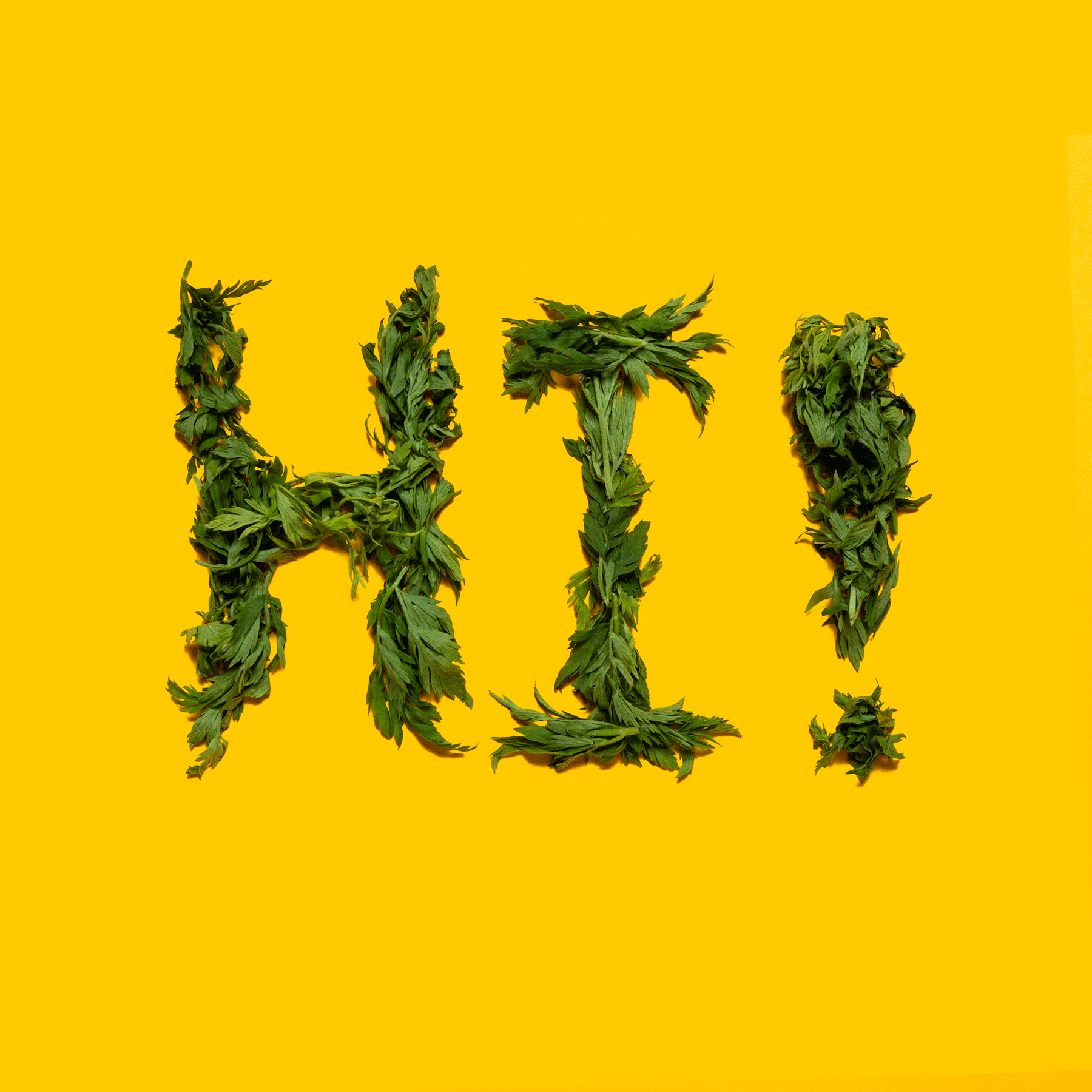 !HH_10.gif