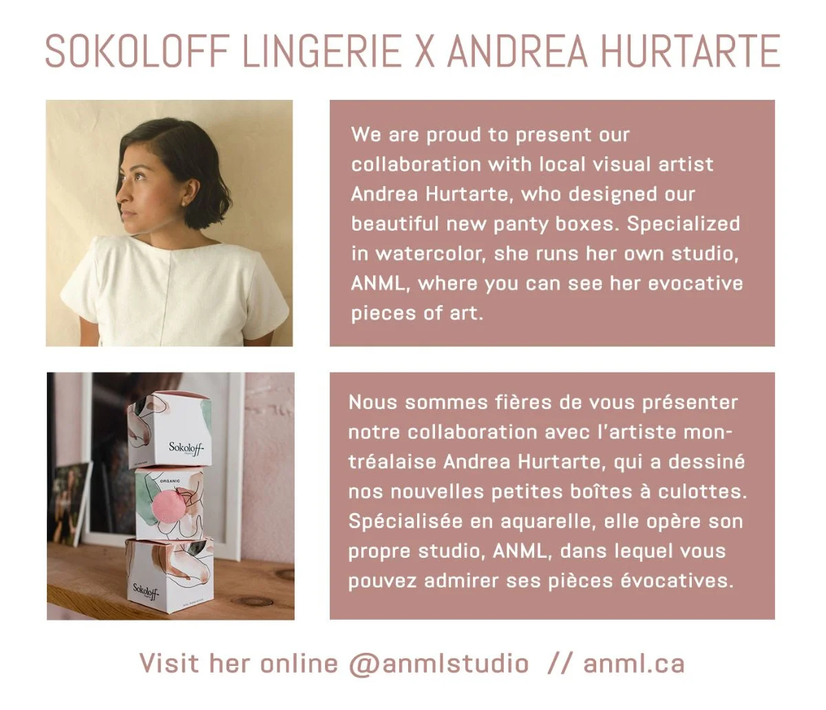 Sokoloff lingerie