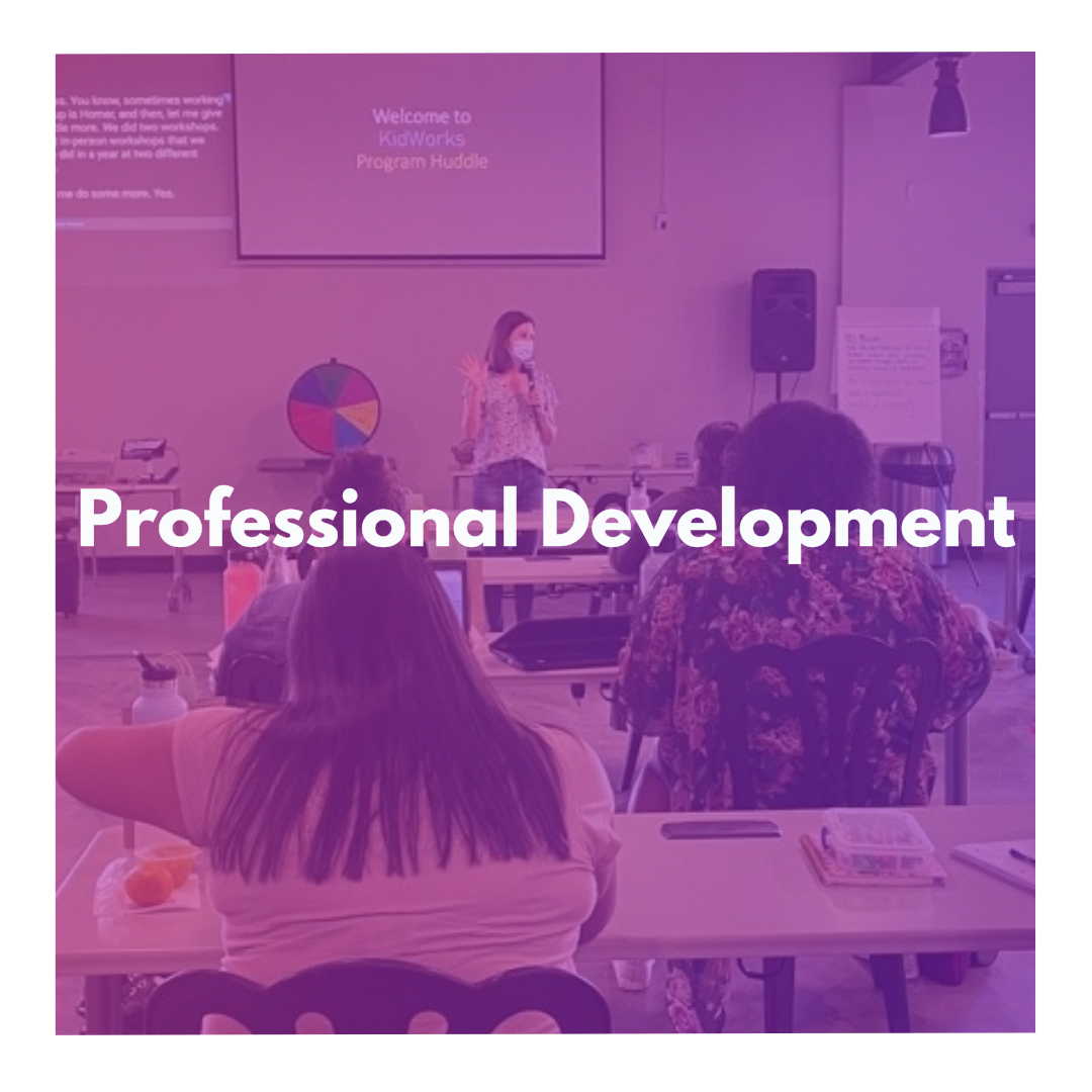 Pro Development.png