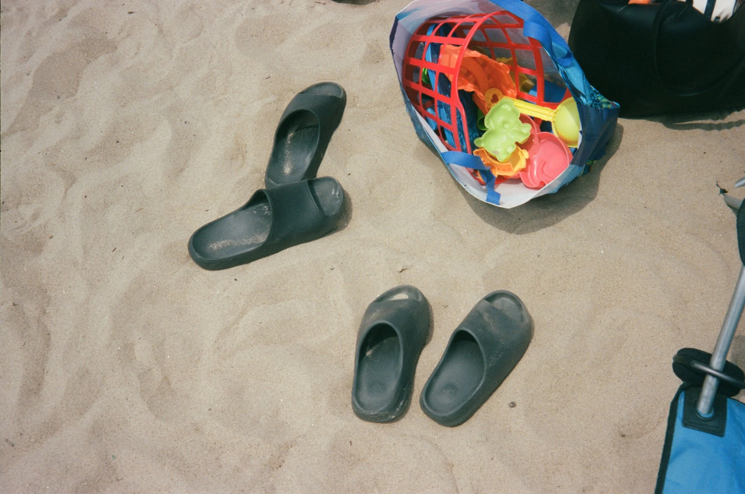kodak_professional_portra_400_10_28_2024_000172480003.jpg