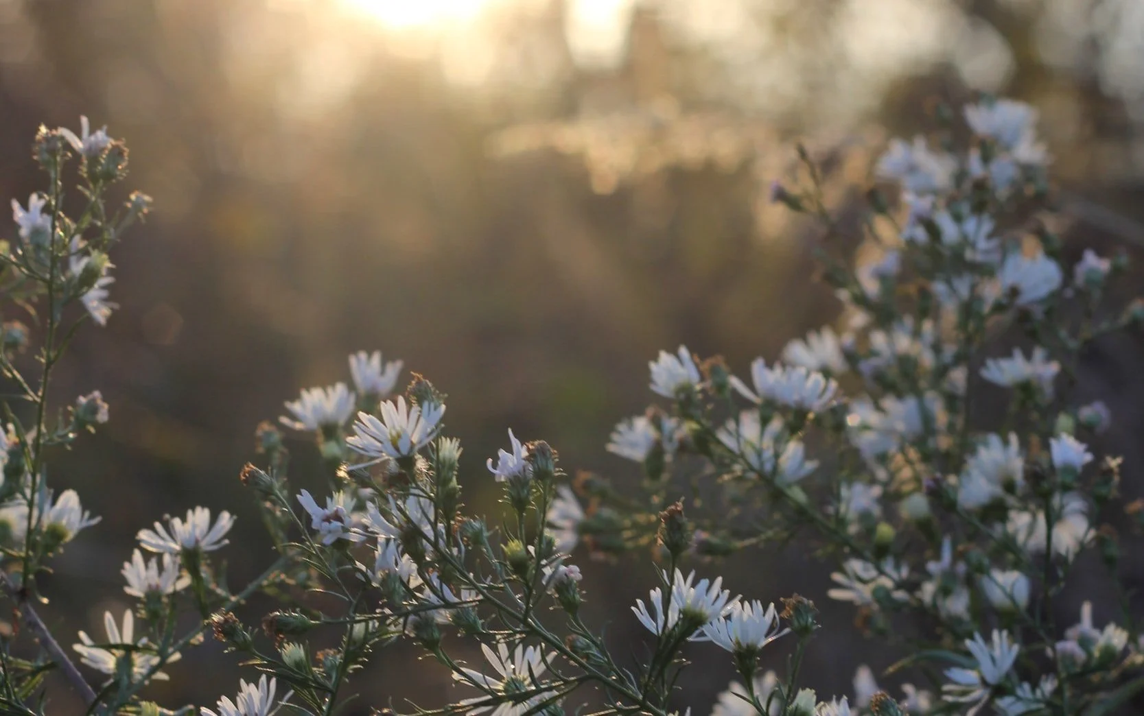 Beautiful advice on caring for grieving friends
